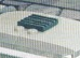 clue_7.bmp