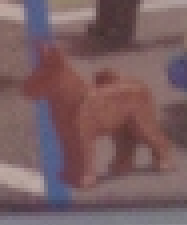 new_dog_1.png