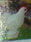 new_part_in_set_2011-3.png
