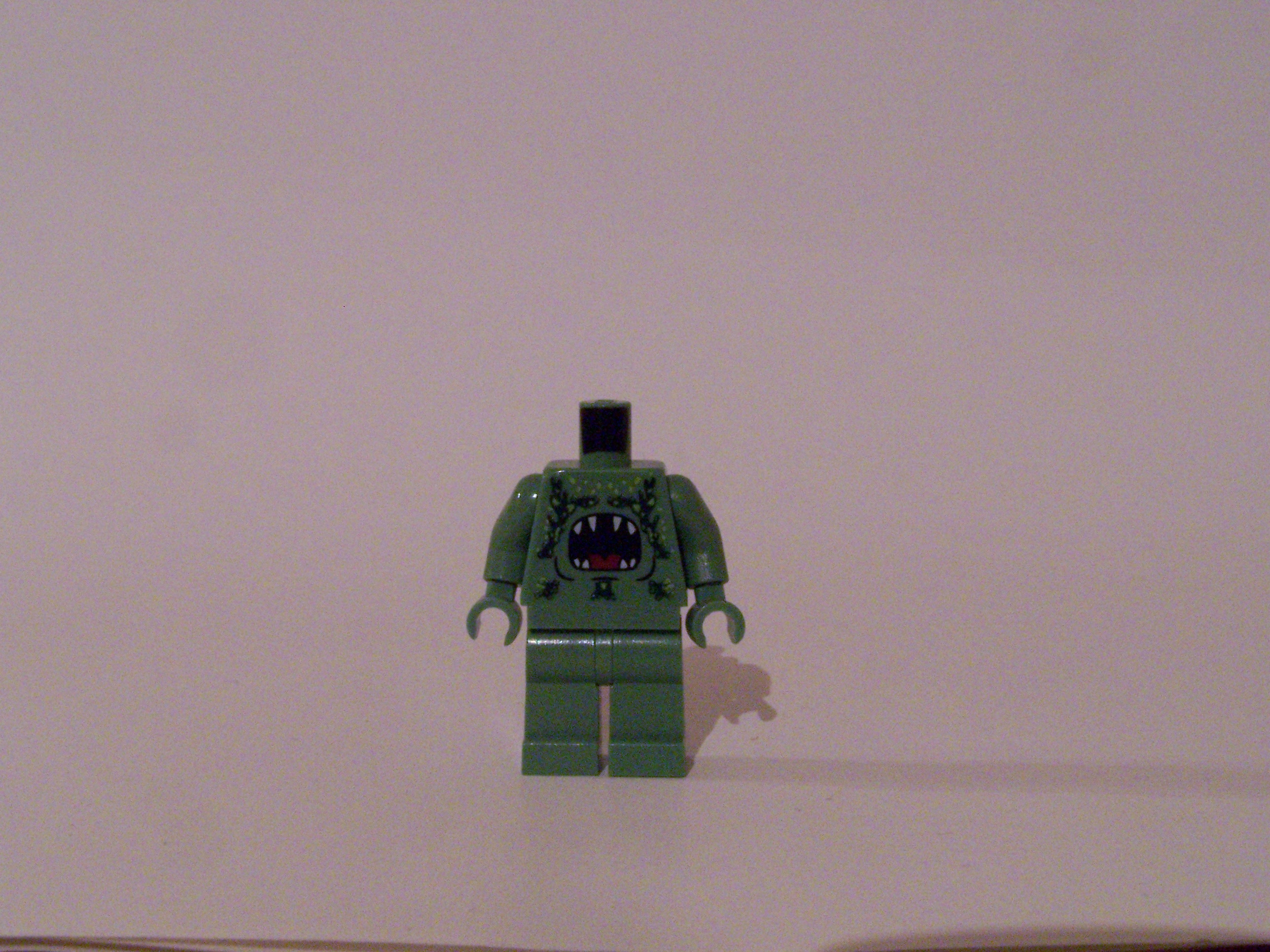 100_7204.jpg