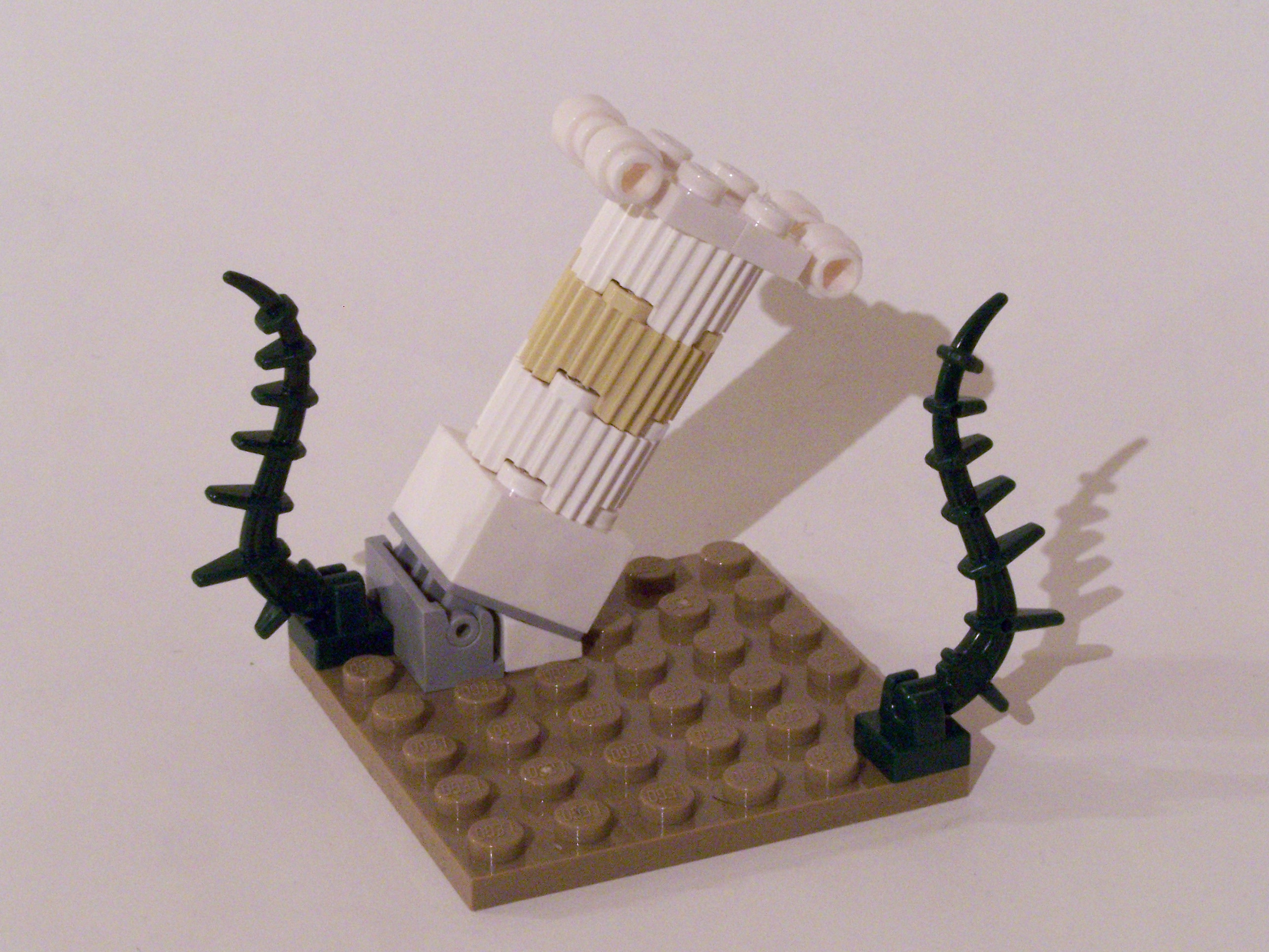 100_7208.jpg
