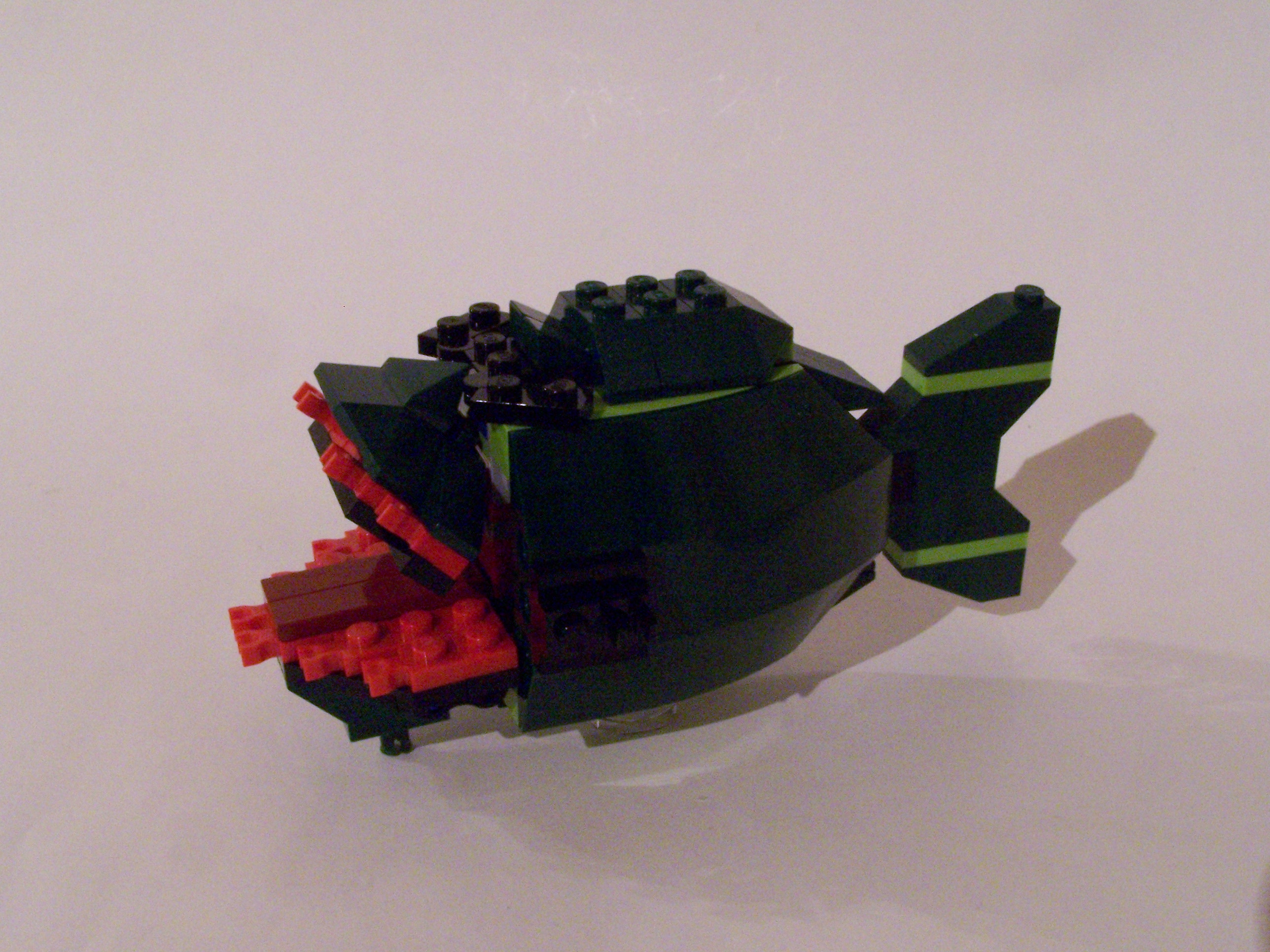 100_7237.jpg