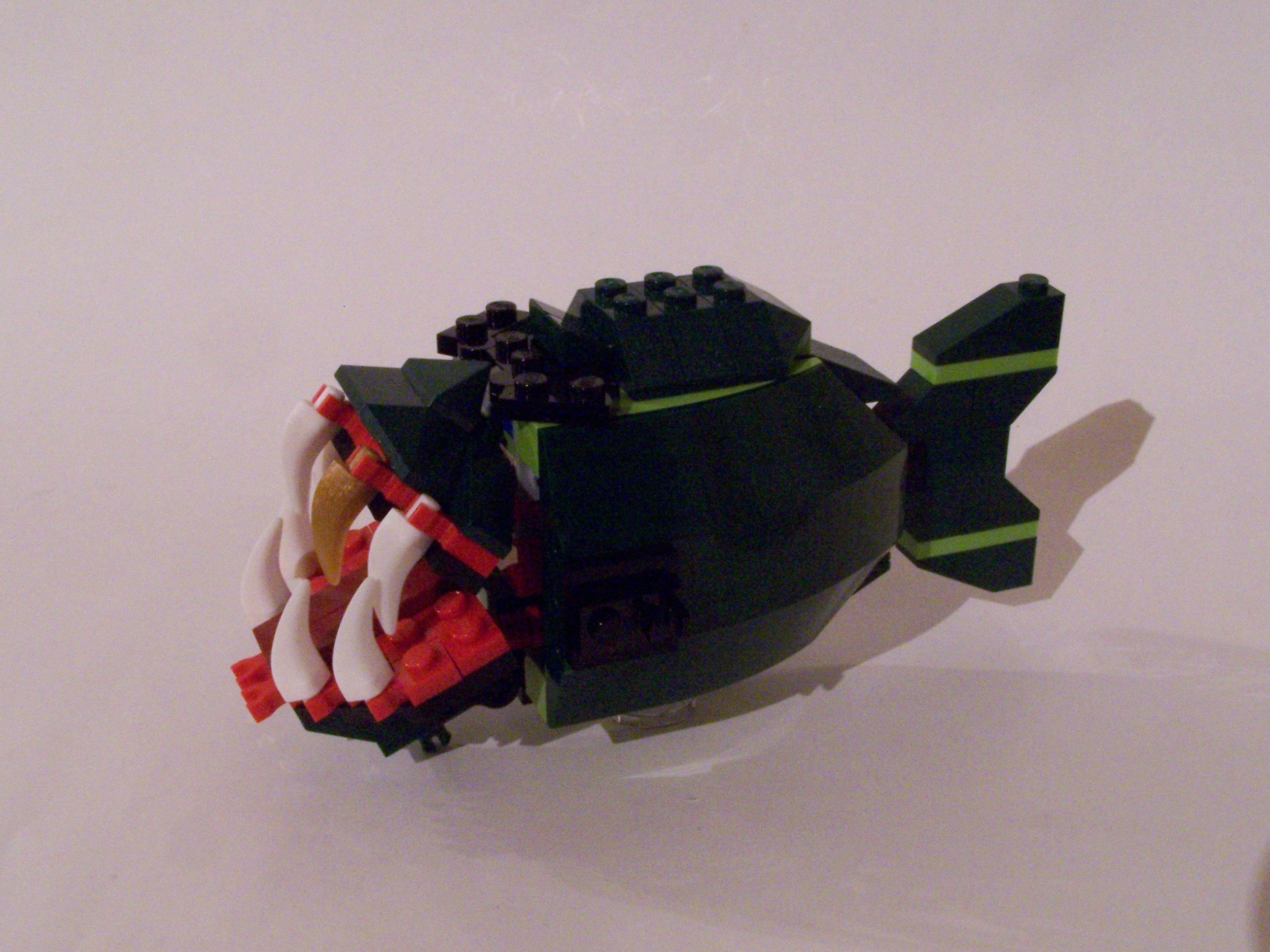 100_7238.jpg