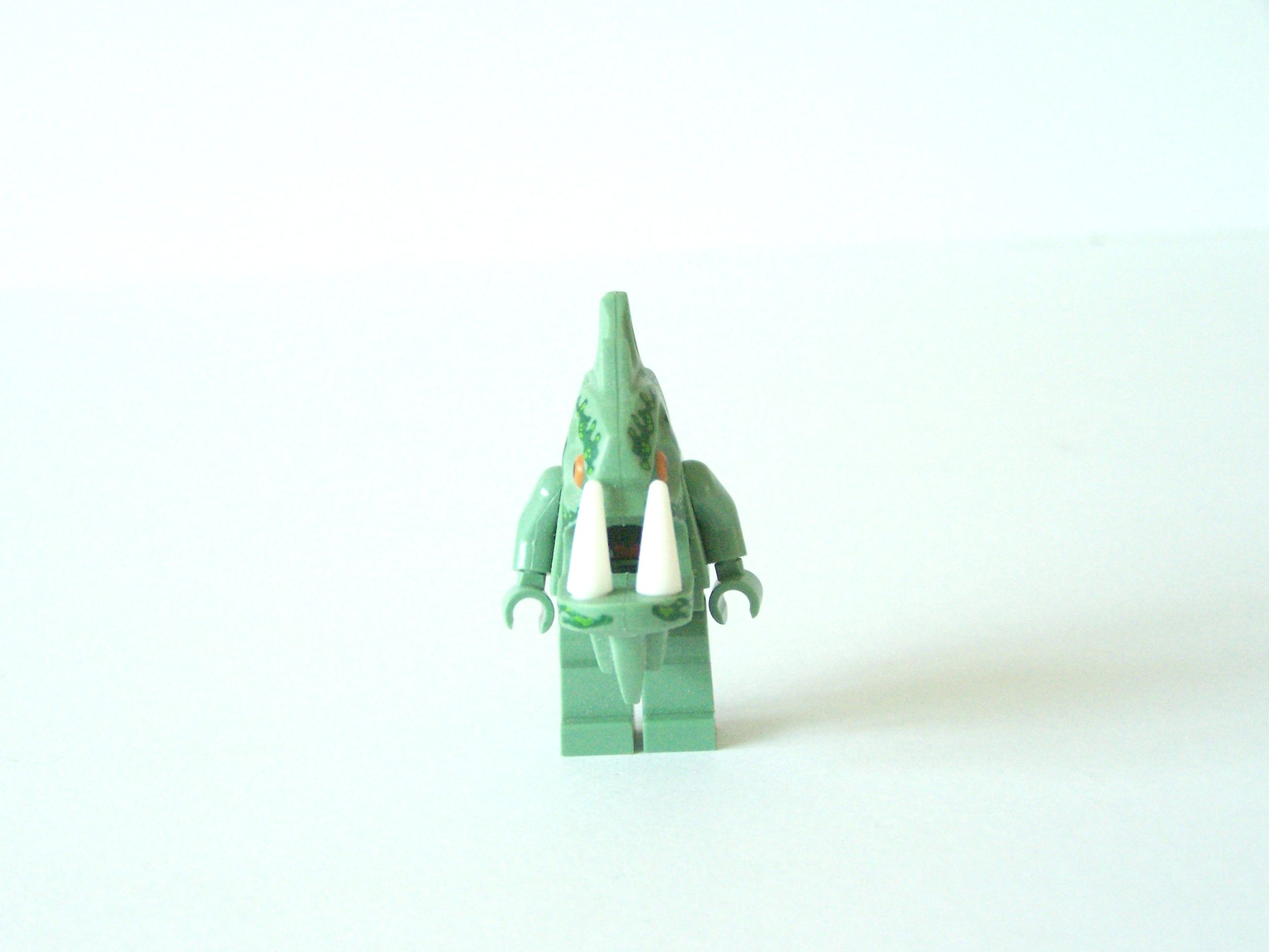 100_7913.jpg