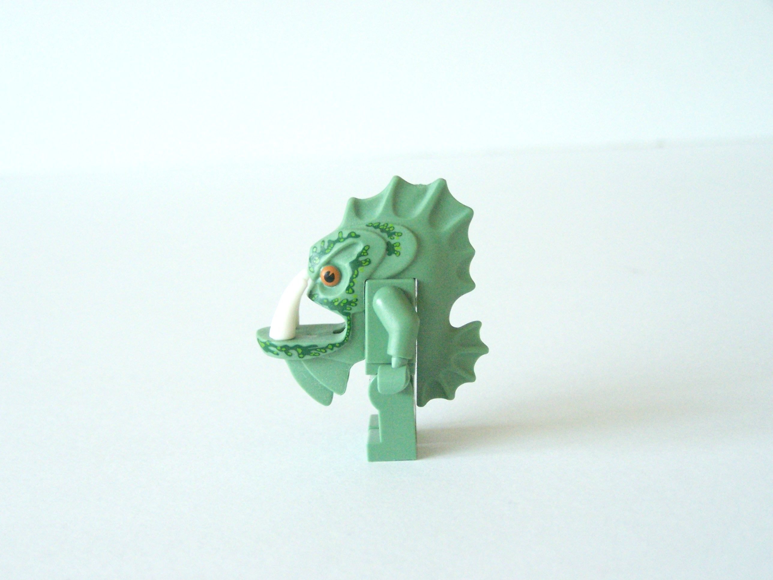 100_7914.jpg