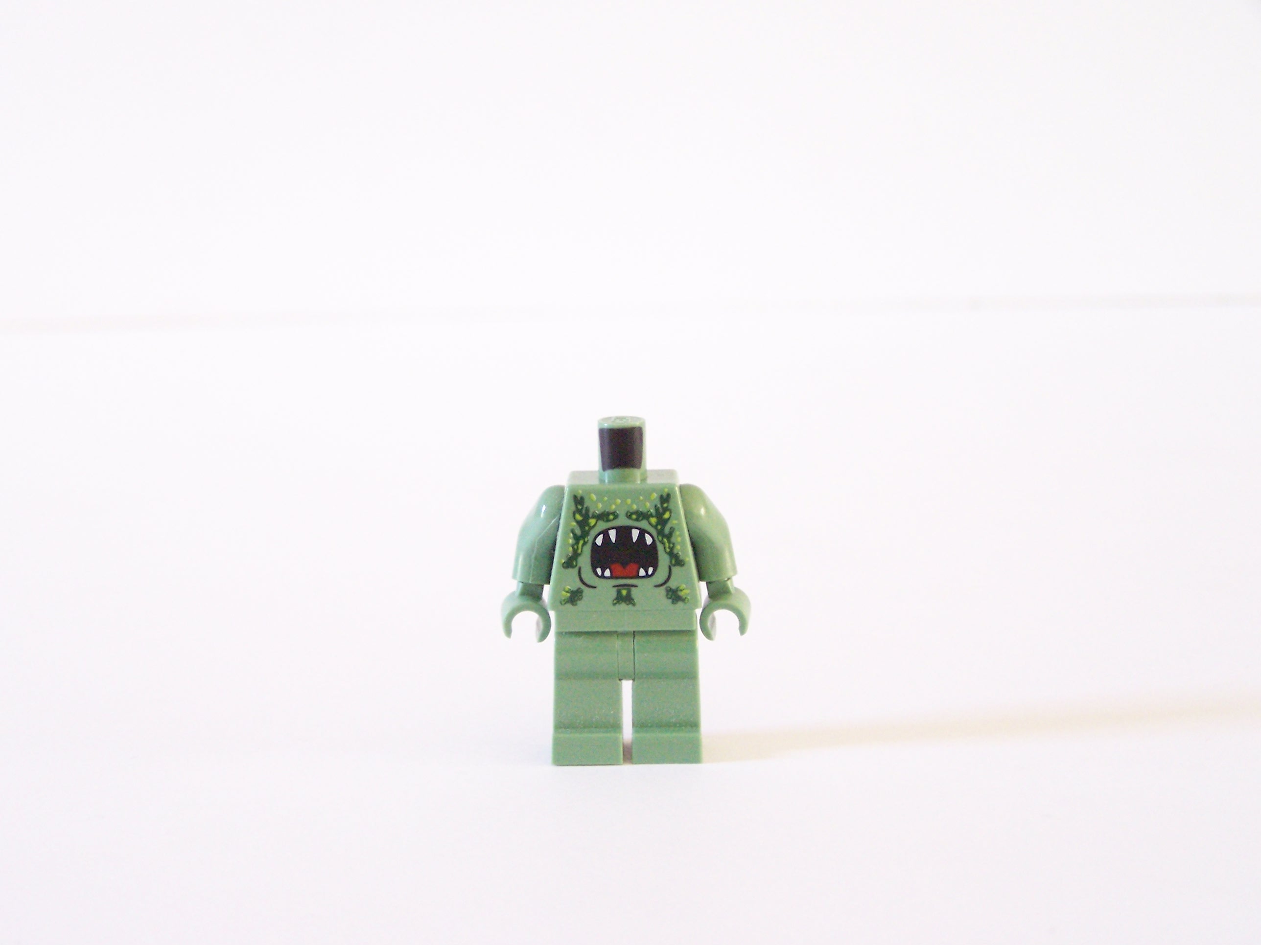 100_7917.jpg