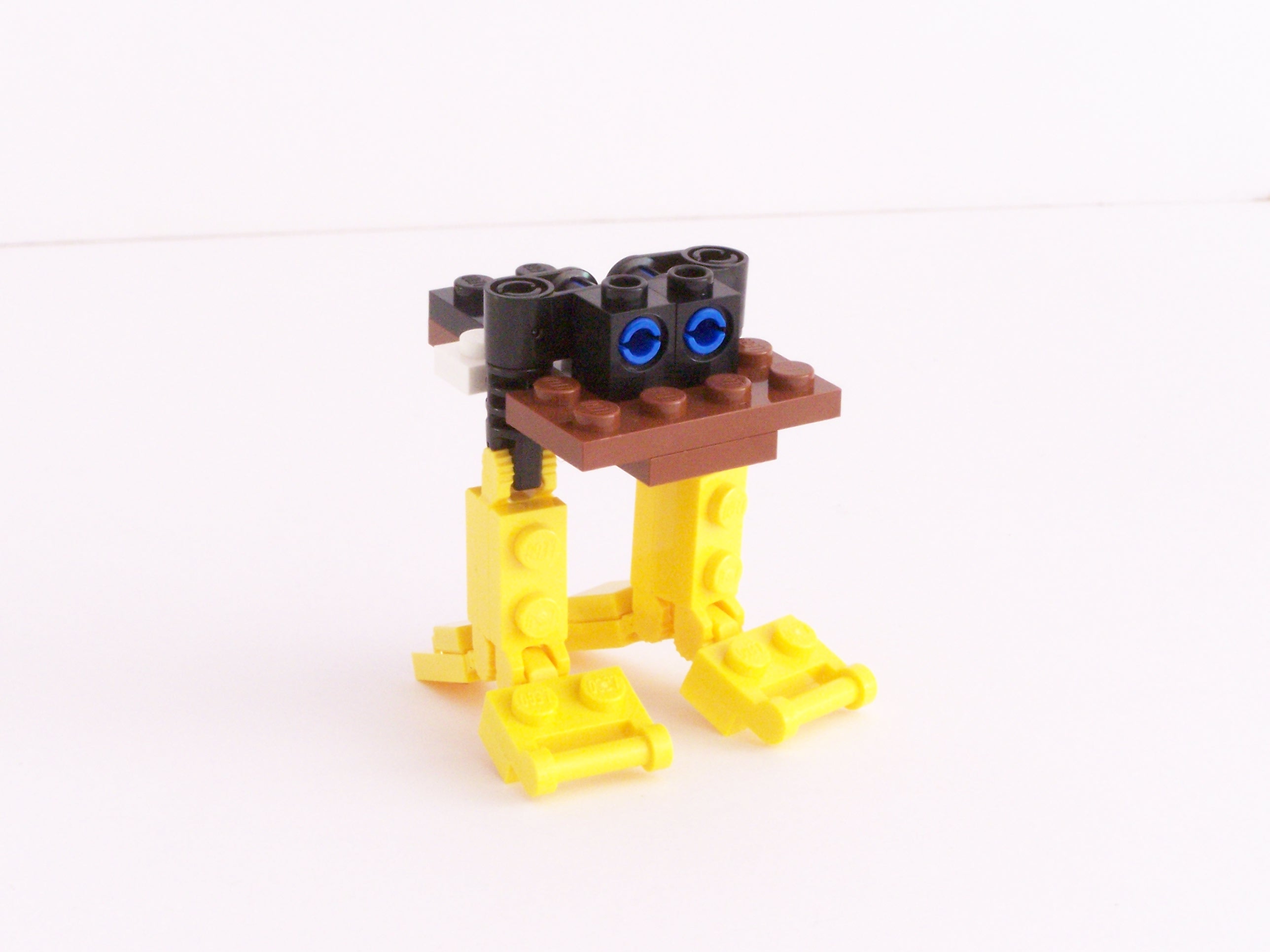 100_1062.jpg