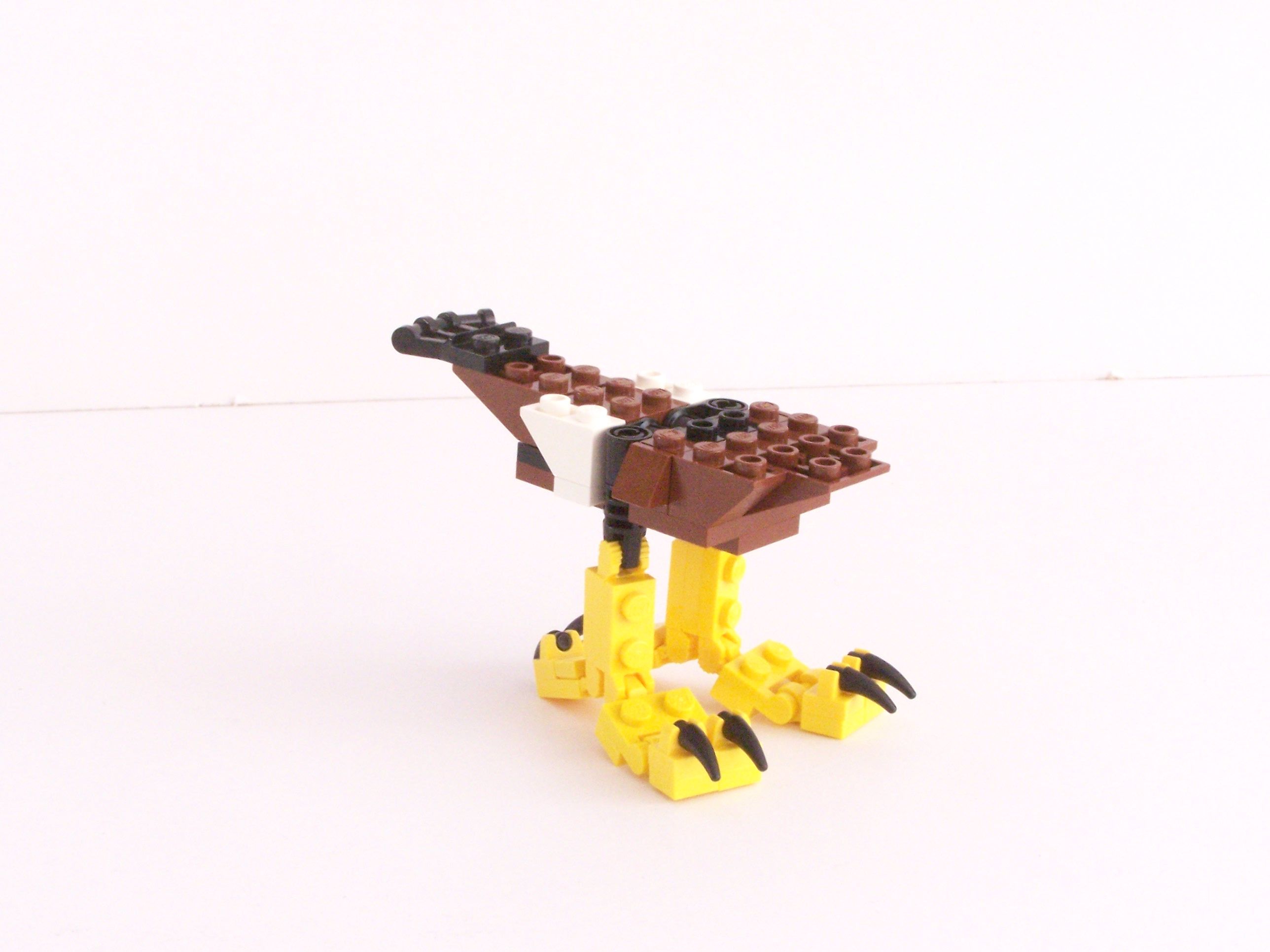 100_1068.jpg