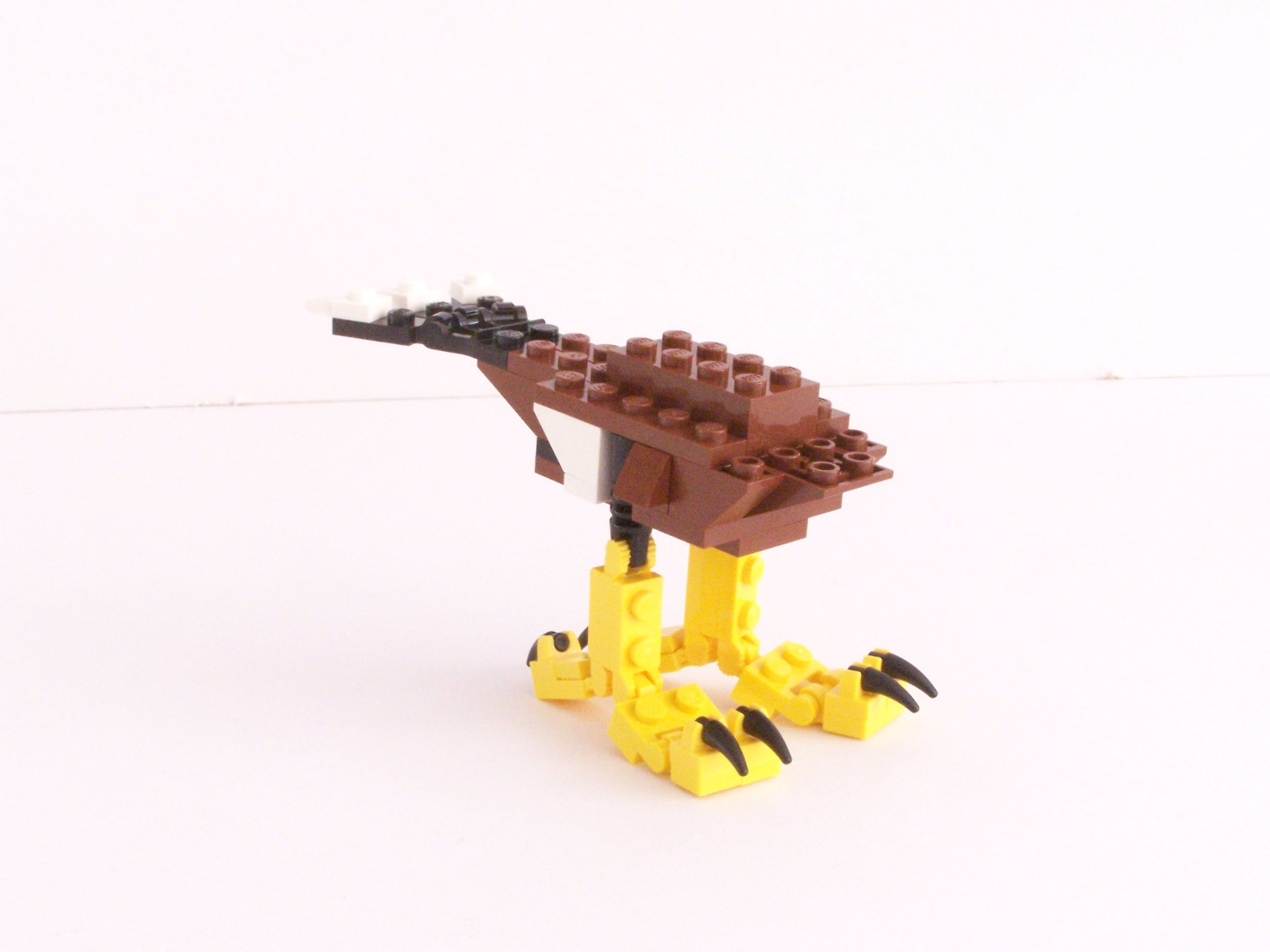 100_1070.jpg