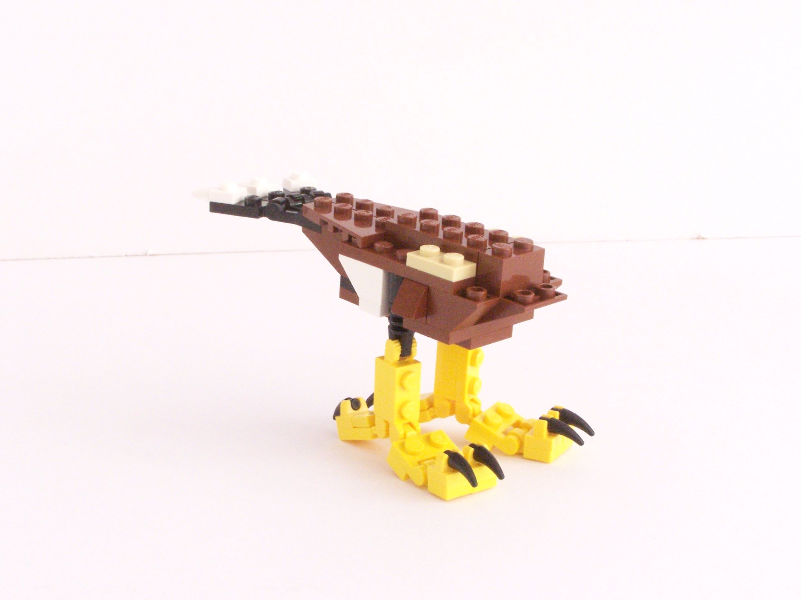 100_1071.jpg