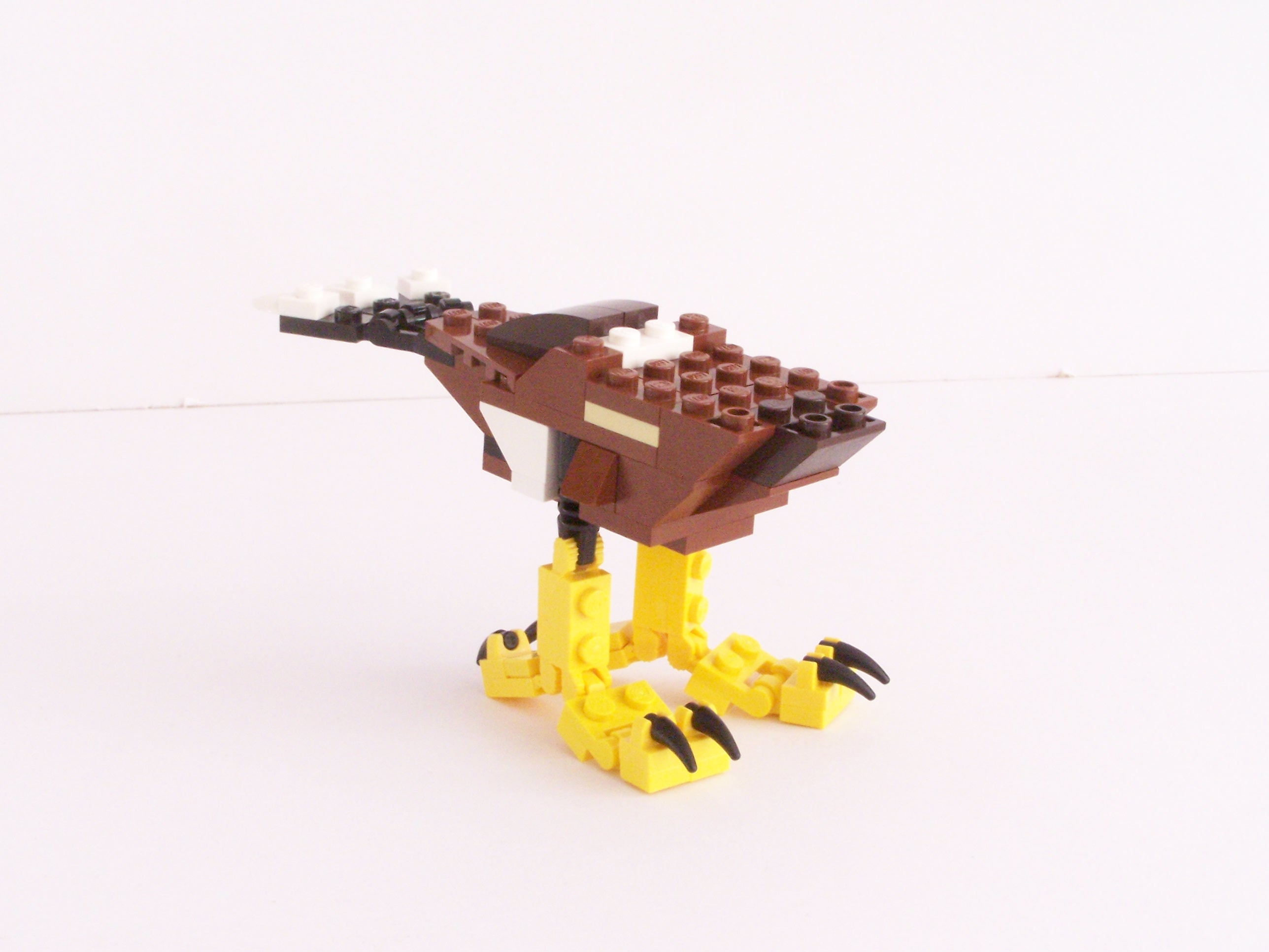 100_1074.jpg