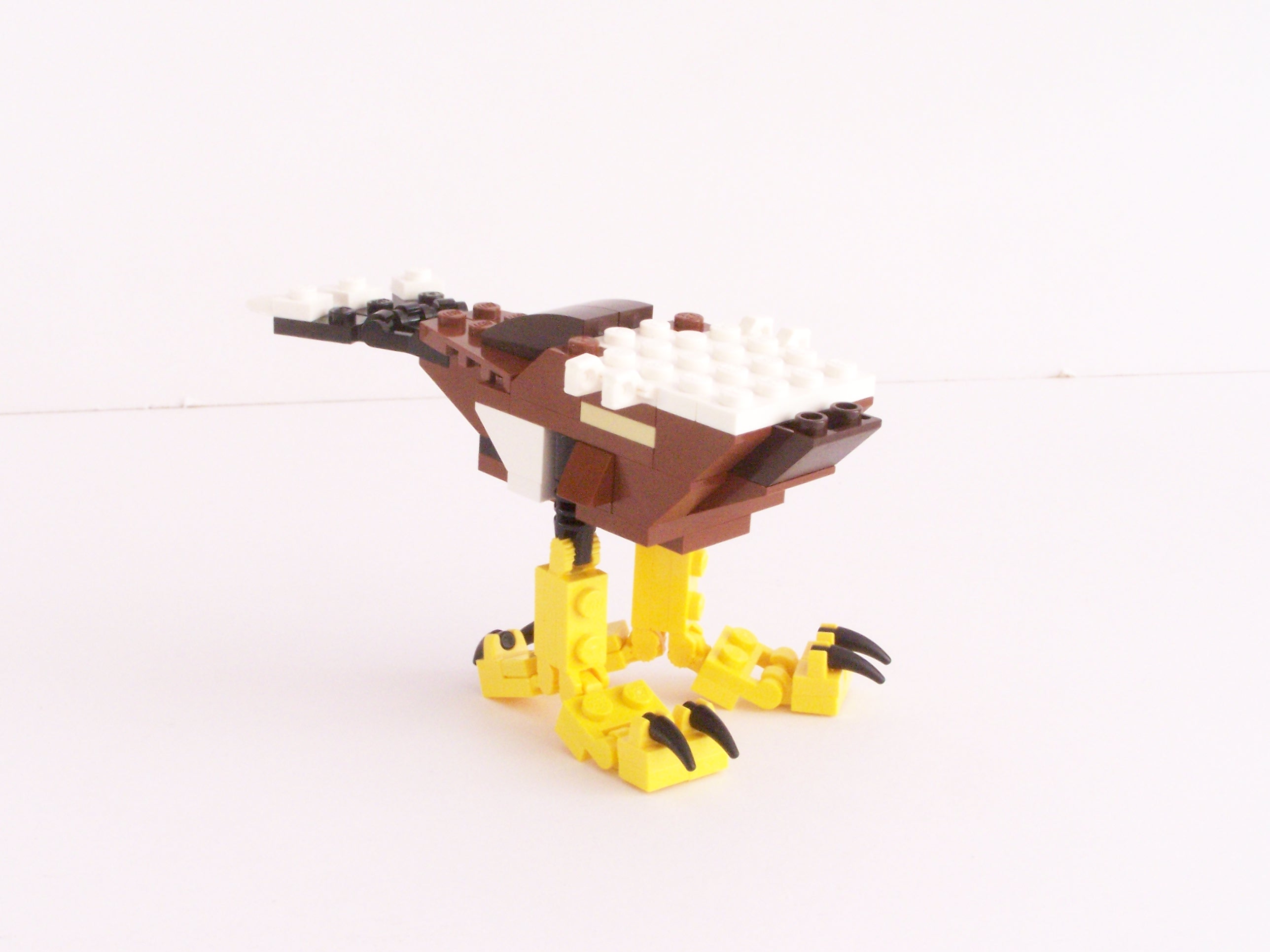 100_1075.jpg