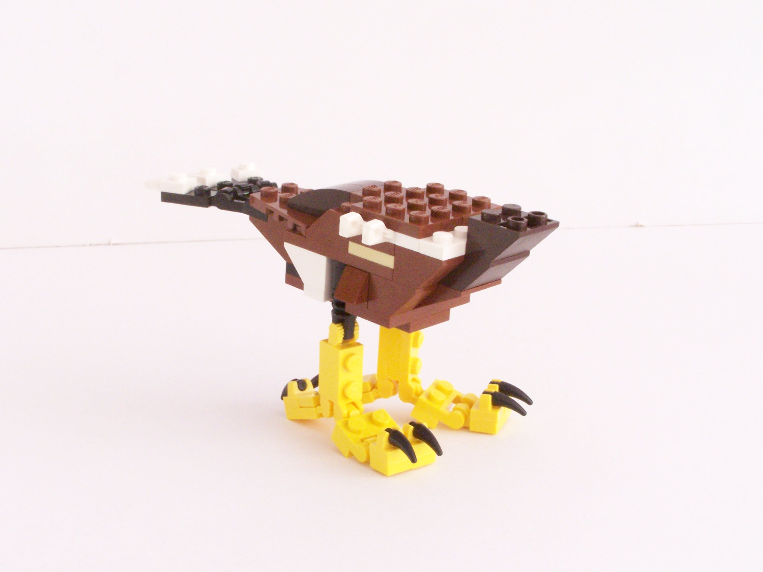 100_1076.jpg