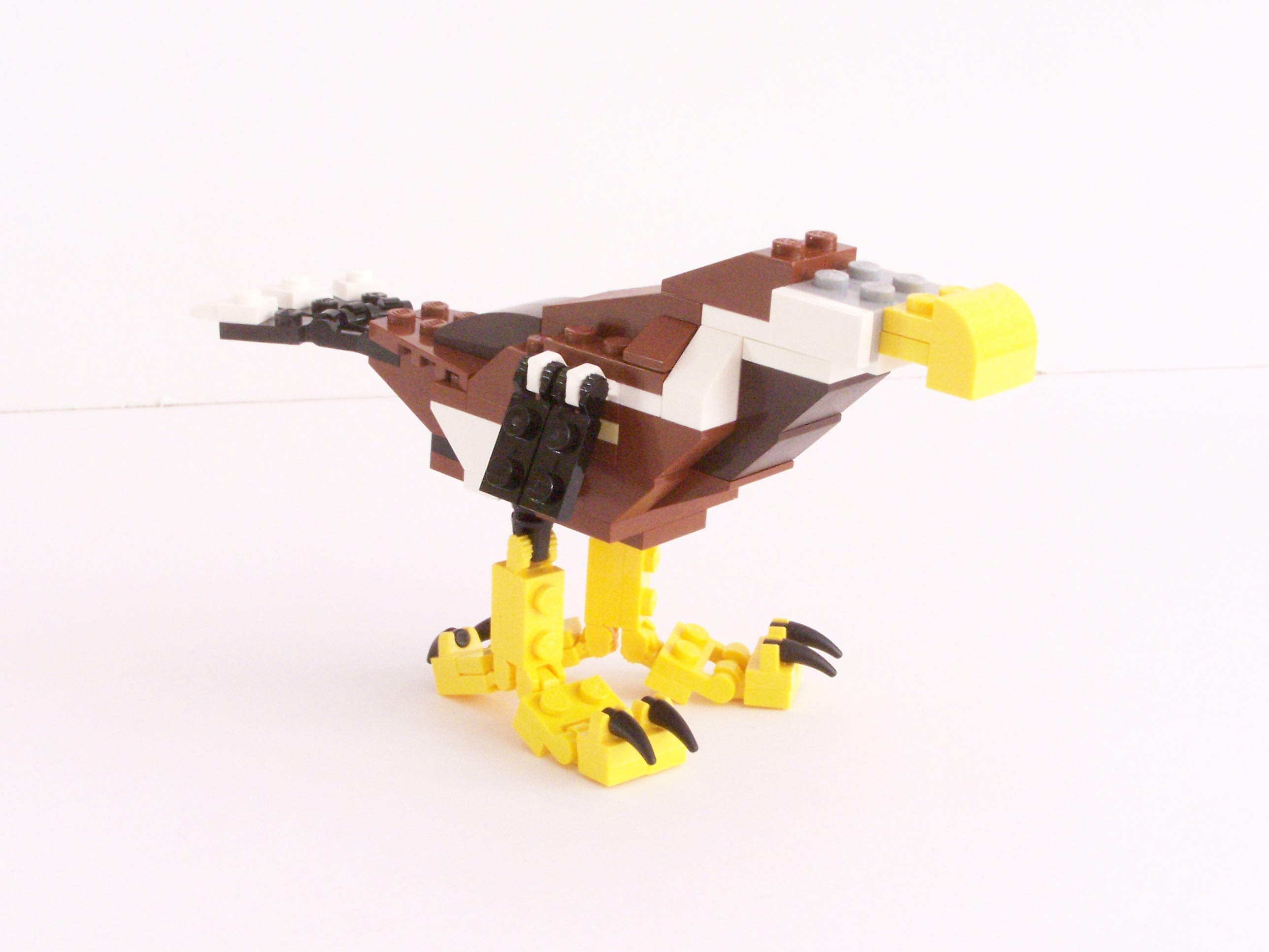 100_1083.jpg