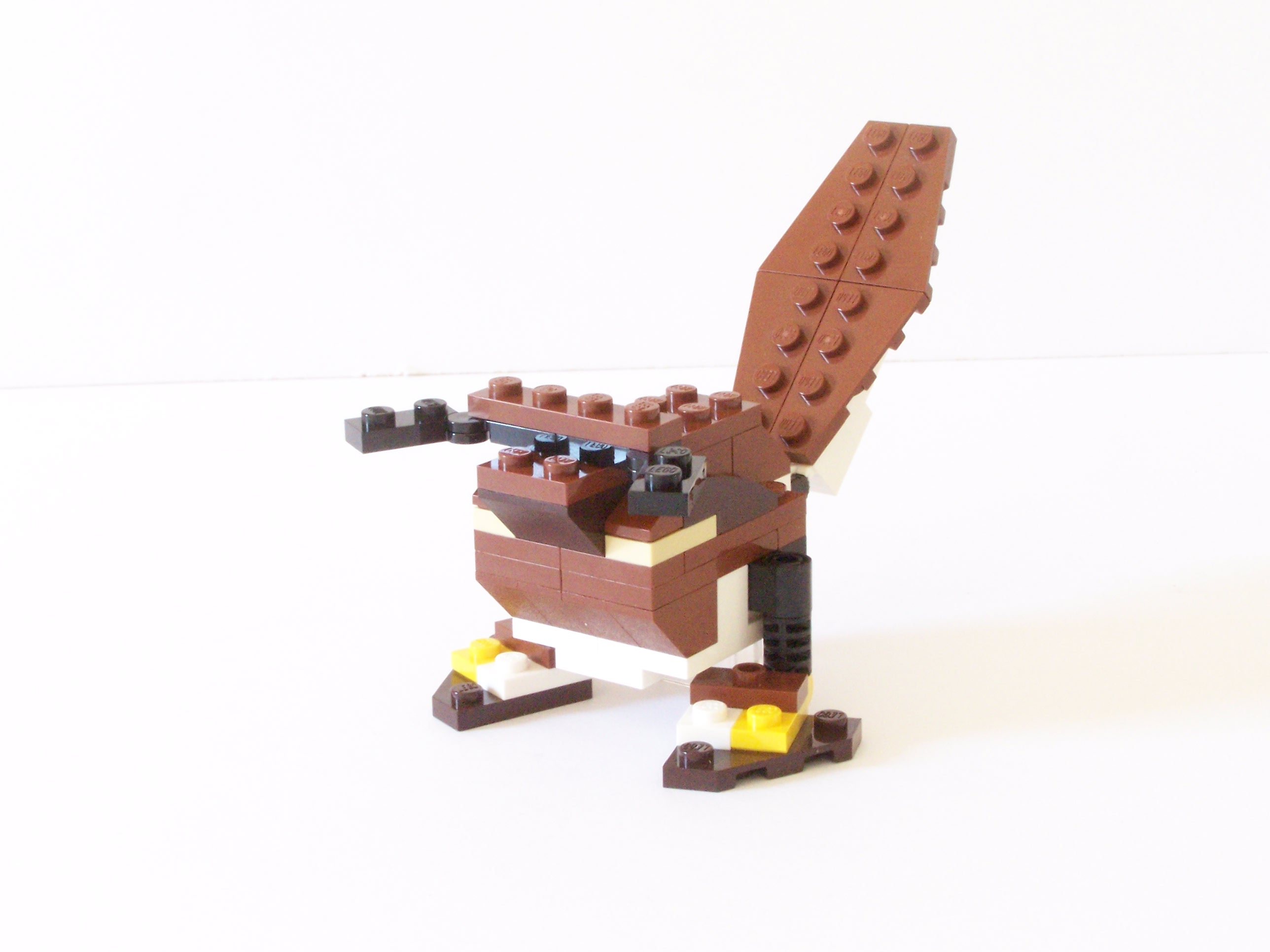 100_1112.jpg