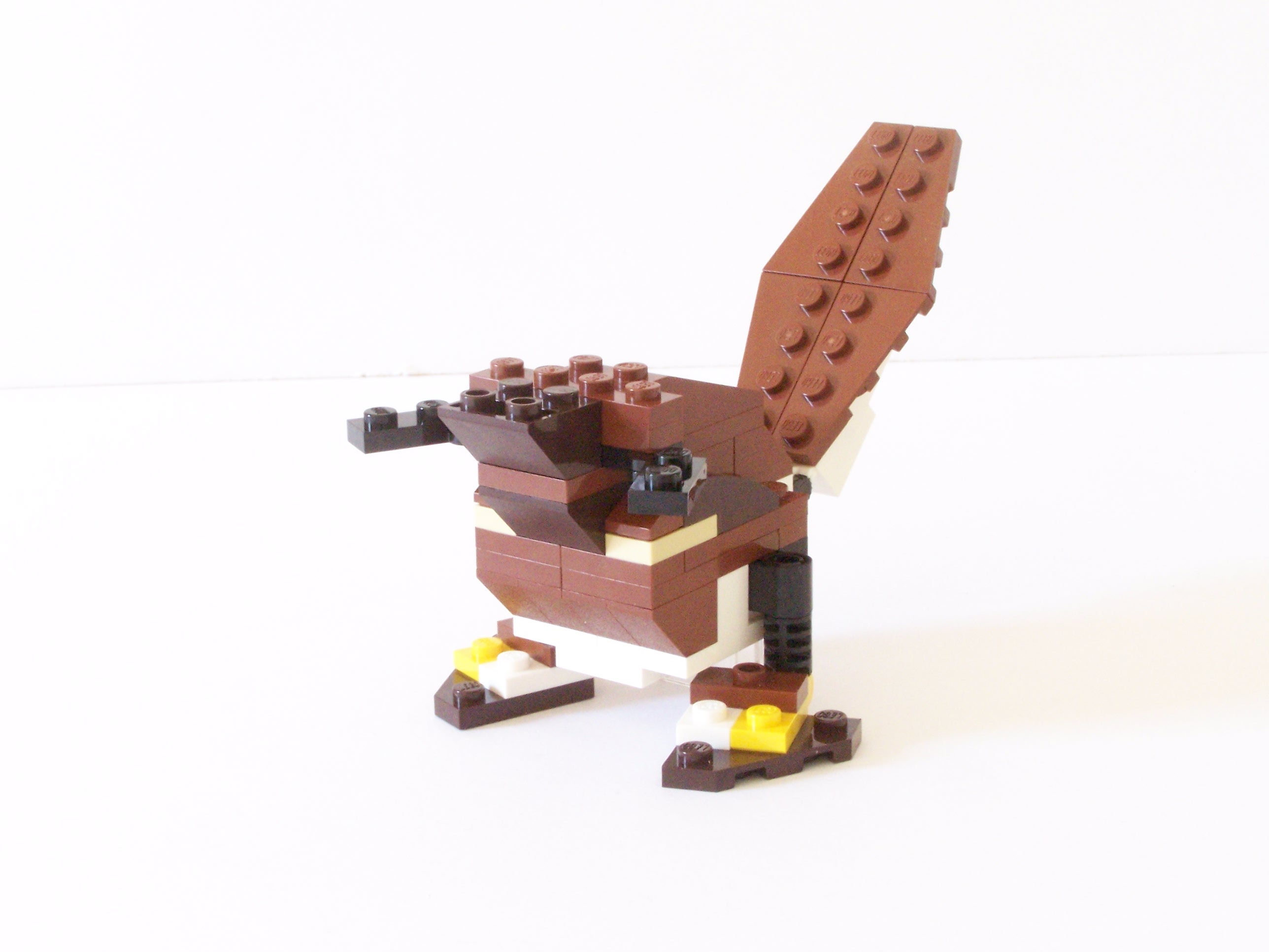 100_1113.jpg