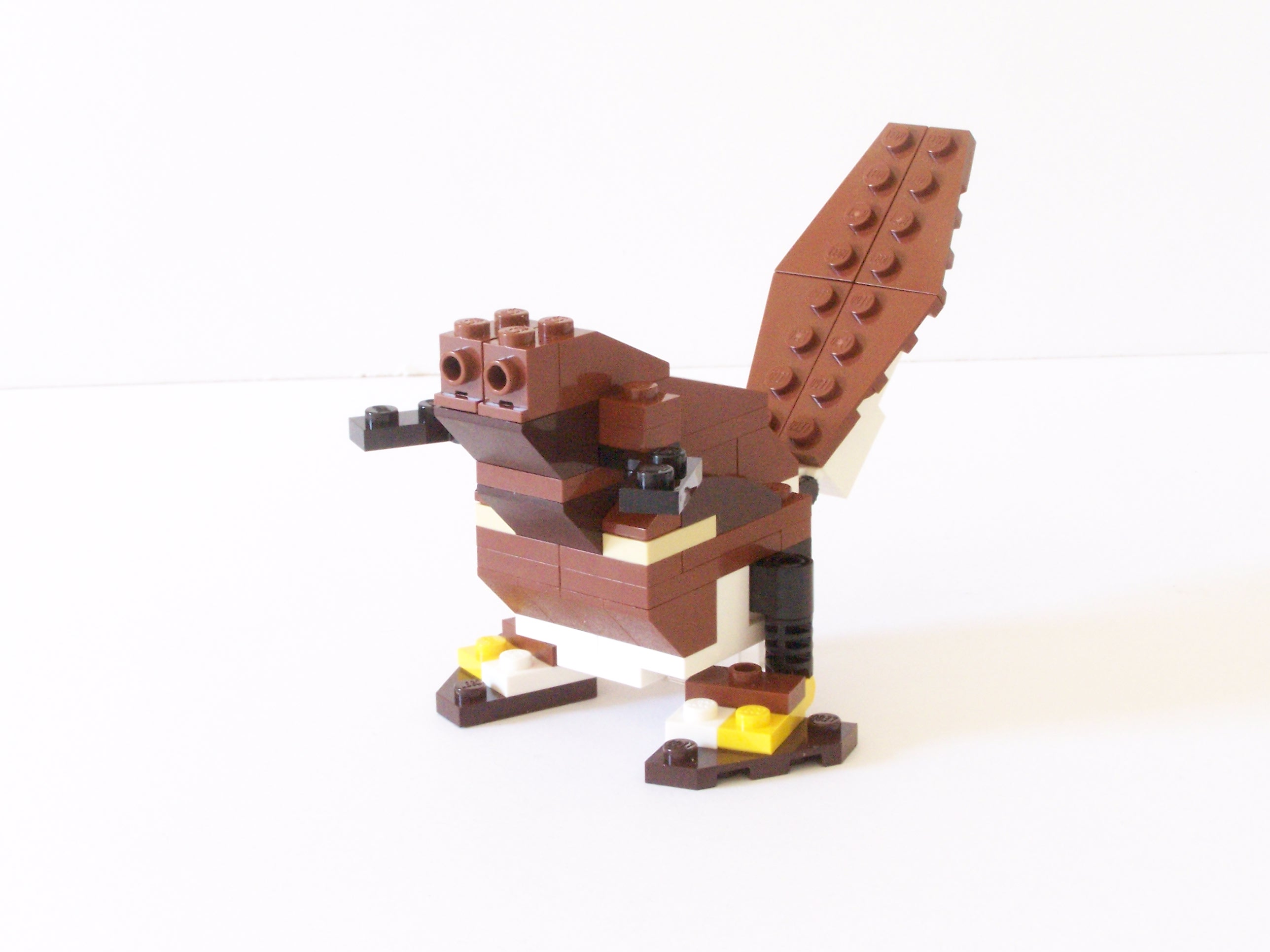 100_1114.jpg