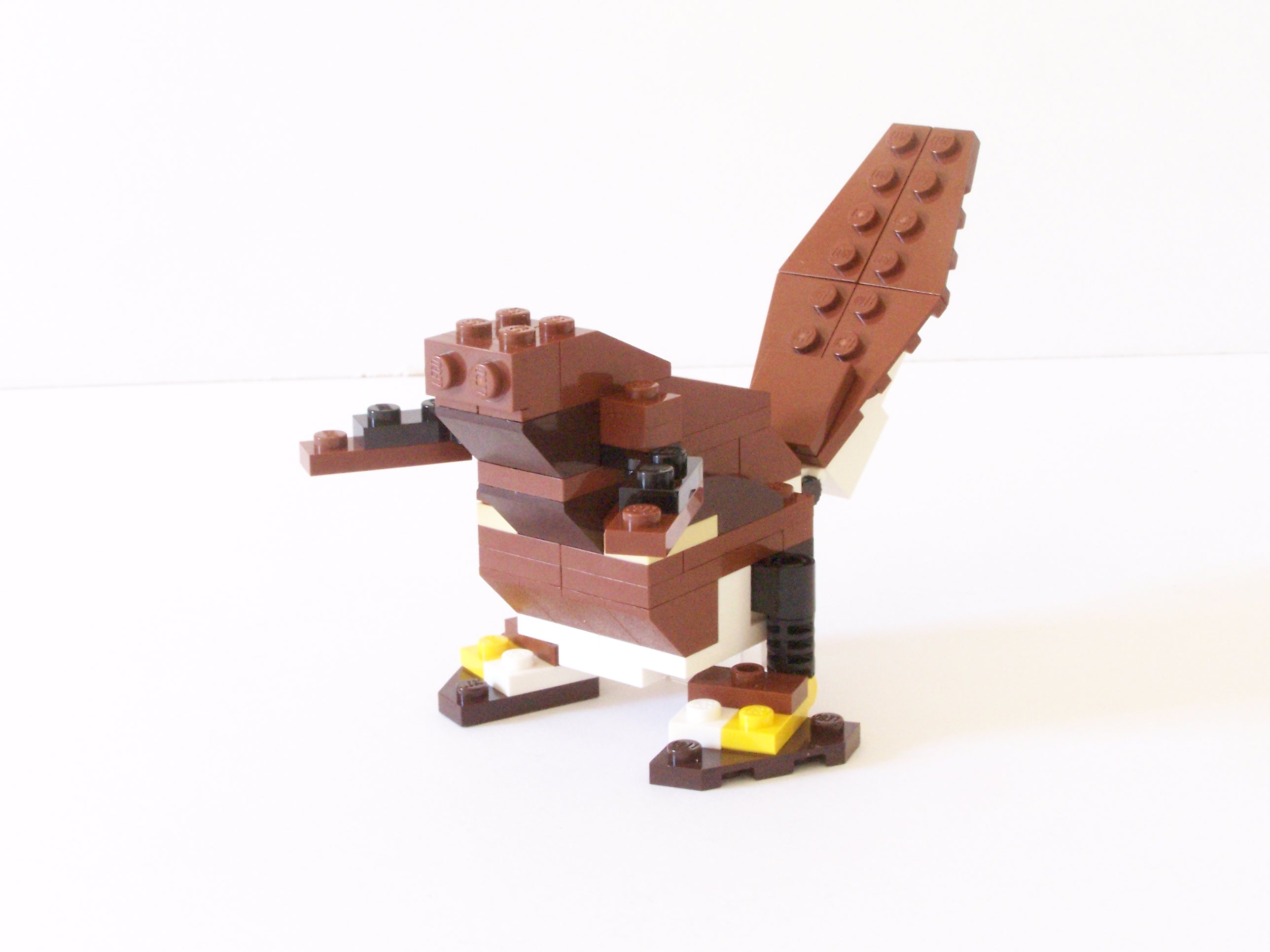 100_1115.jpg
