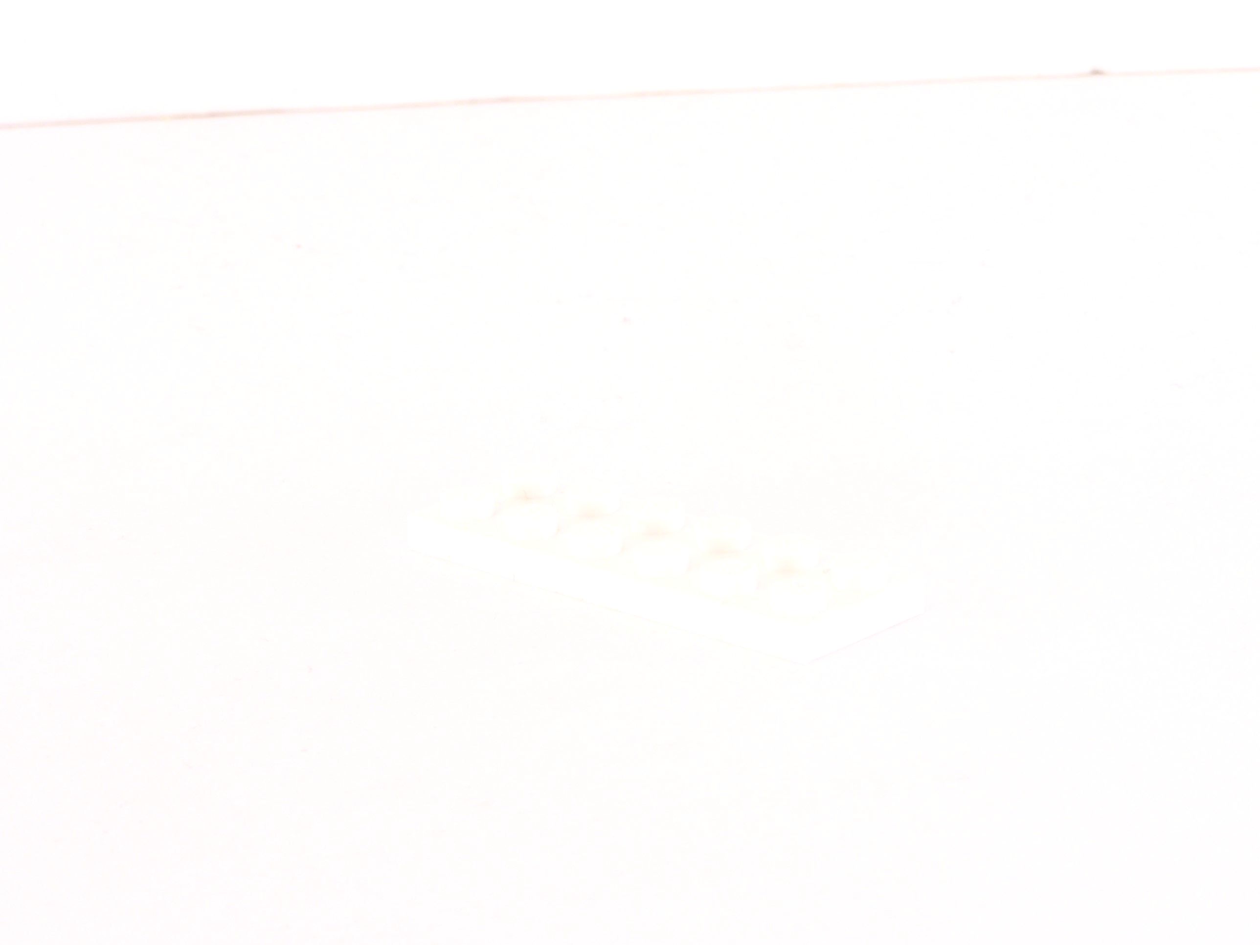 100_2321.jpg