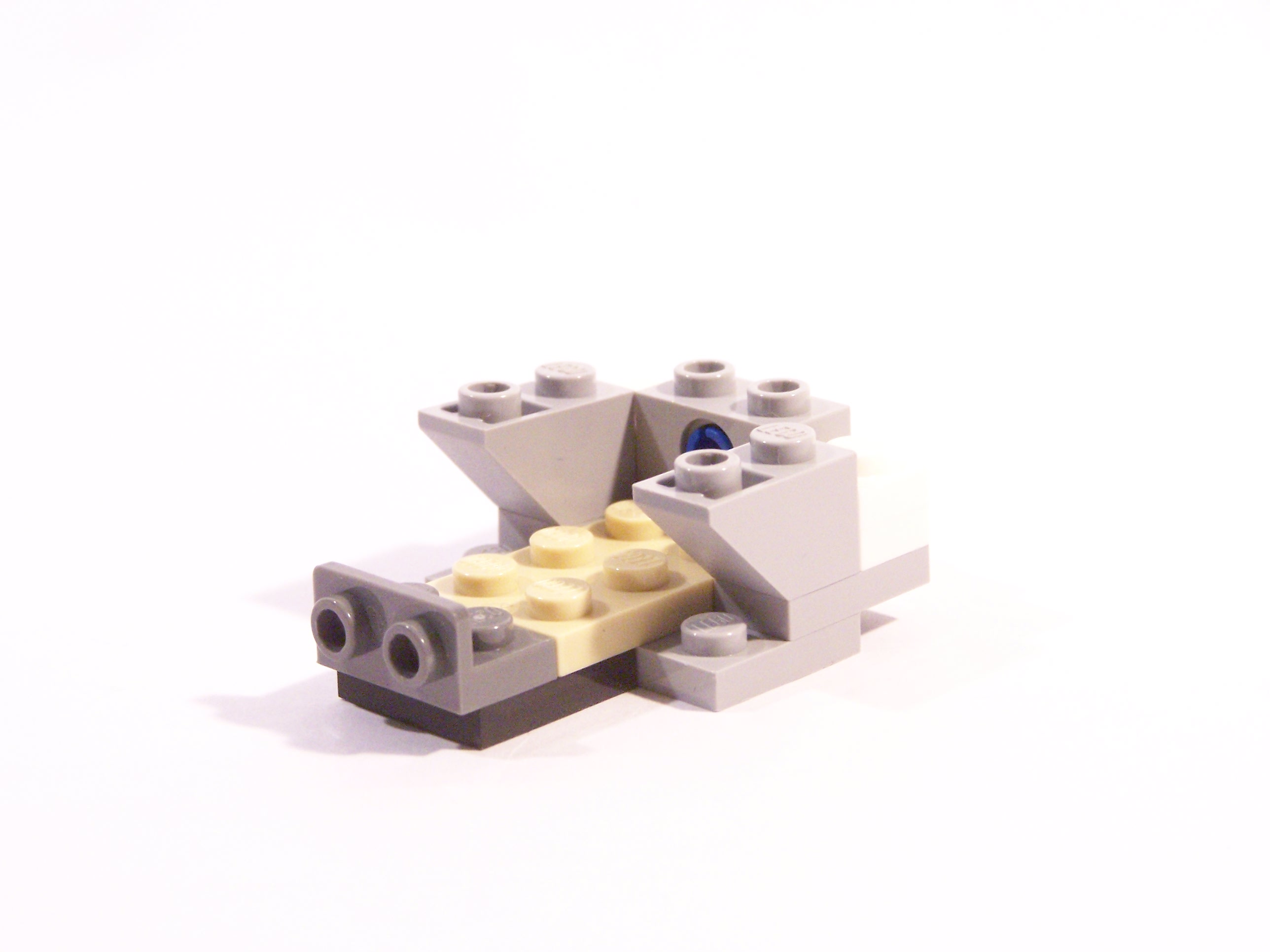 100_6003.jpg