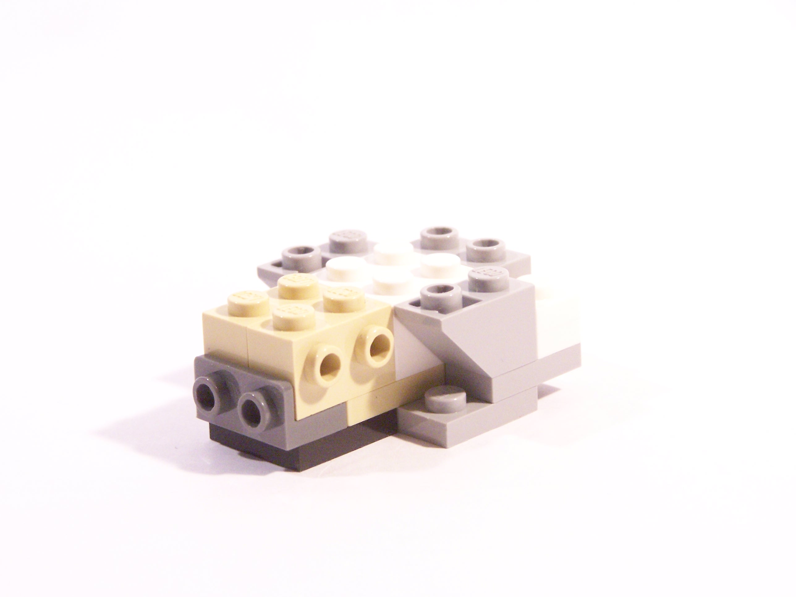100_6005.jpg