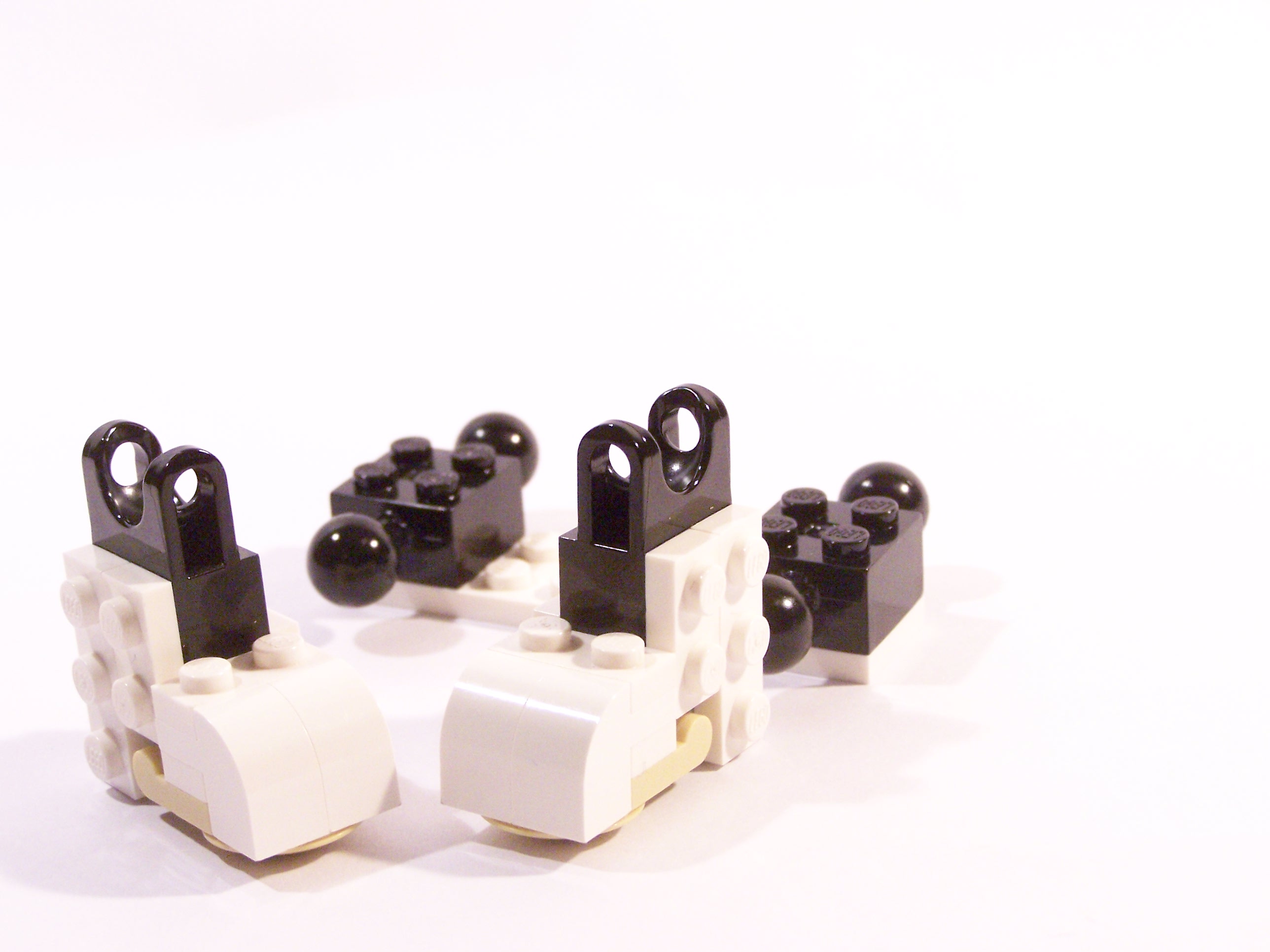 100_6029.jpg