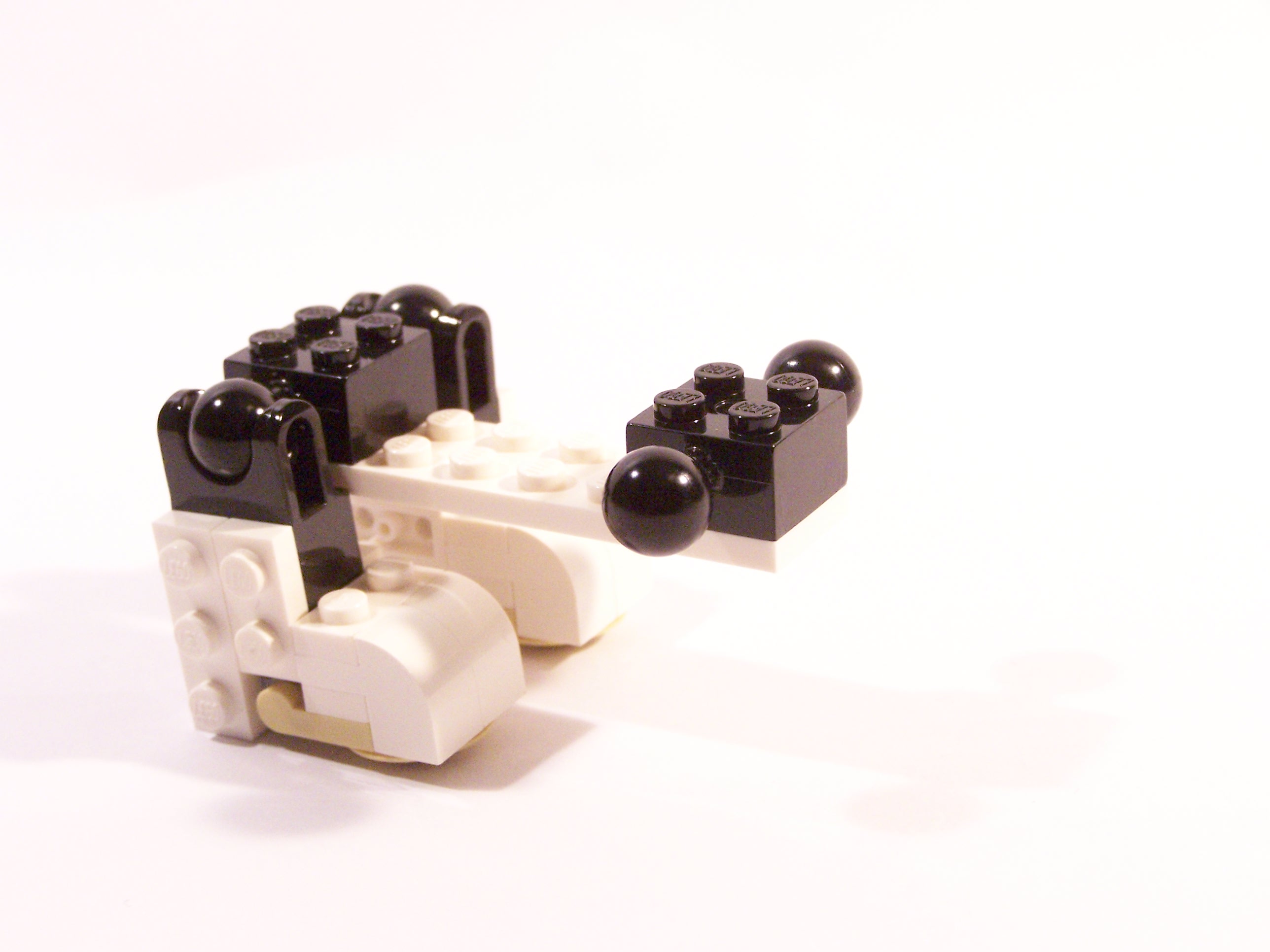 100_6031.jpg