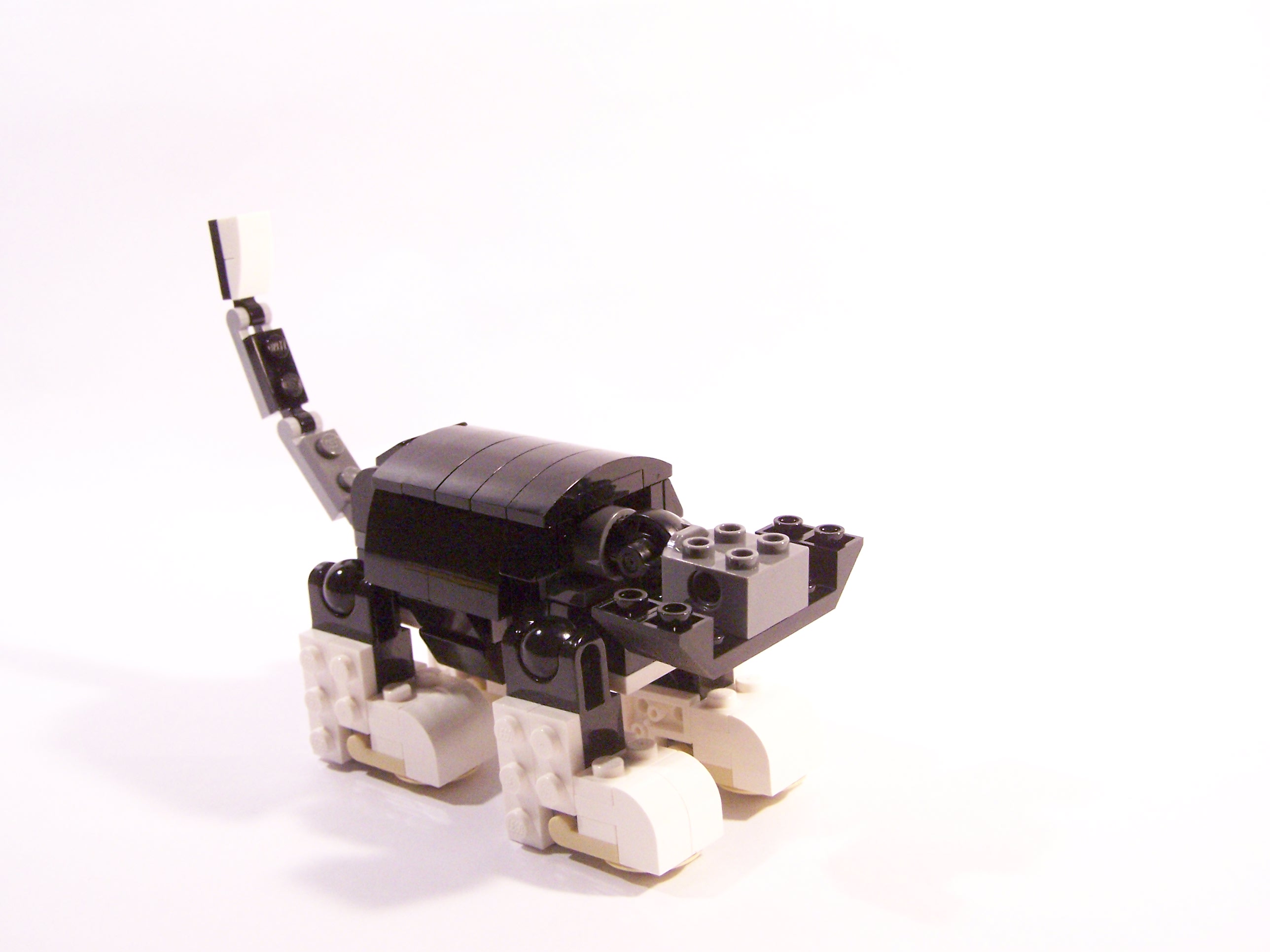 100_6055.jpg