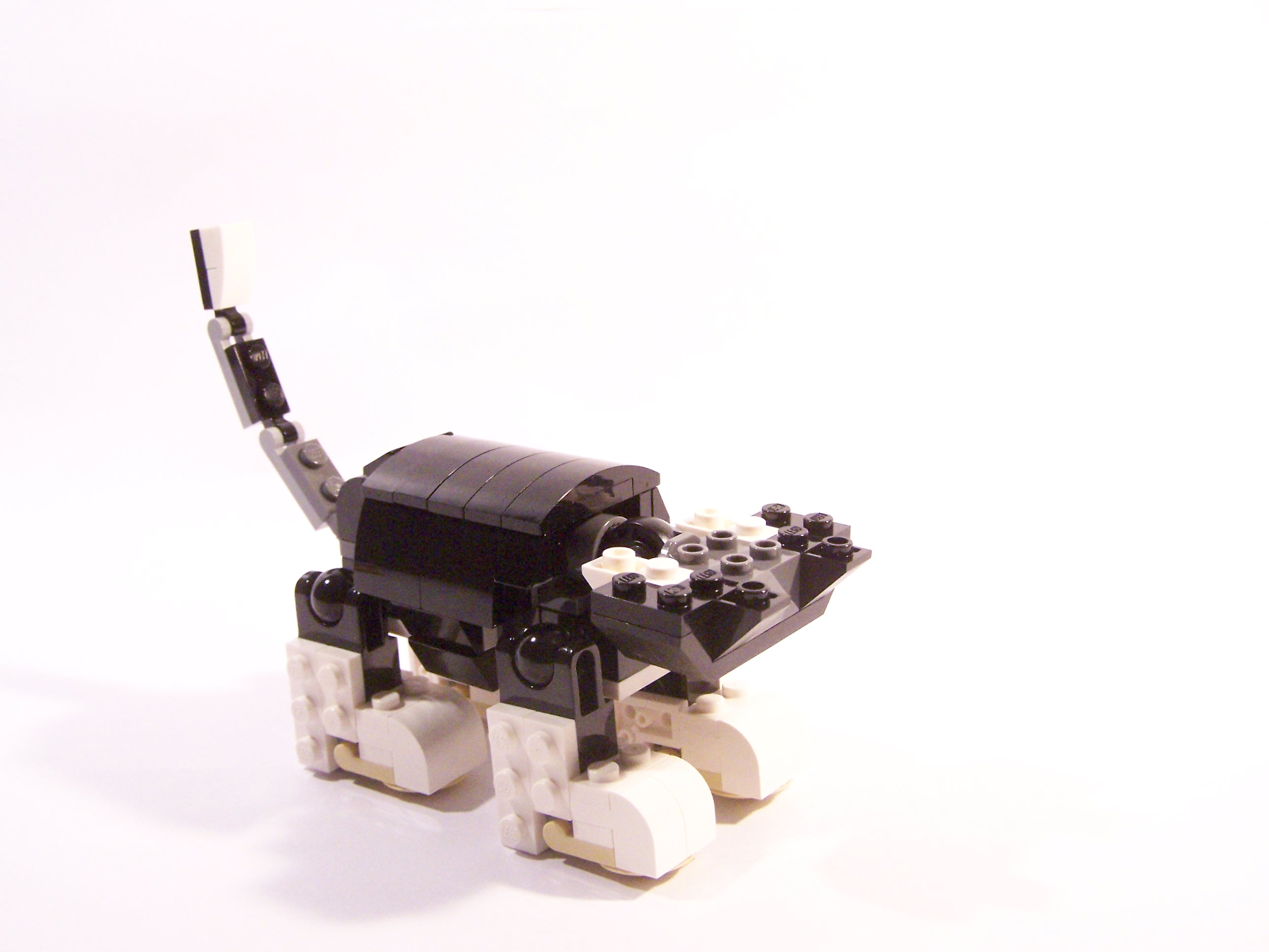 100_6056.jpg