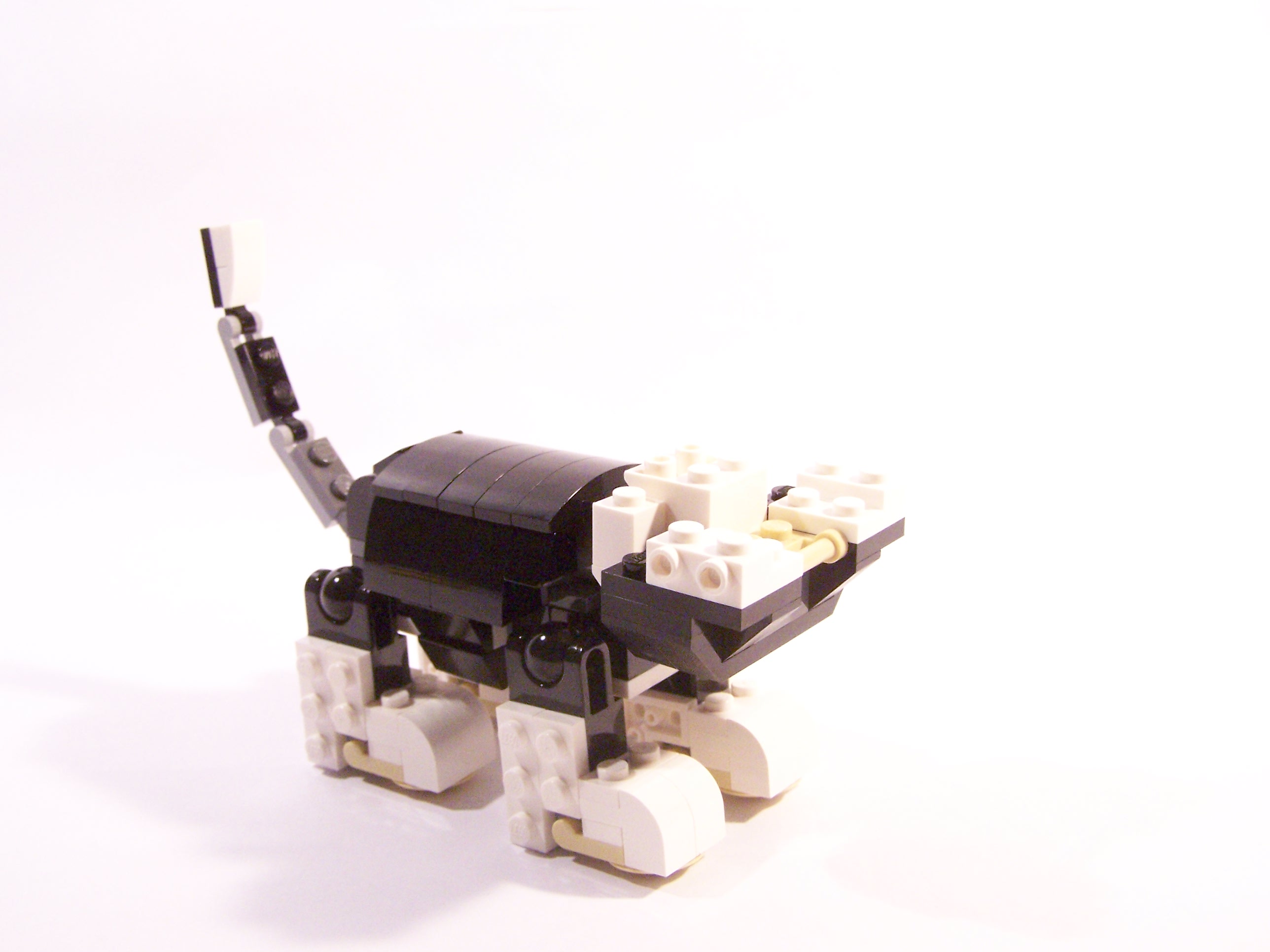 100_6058.jpg
