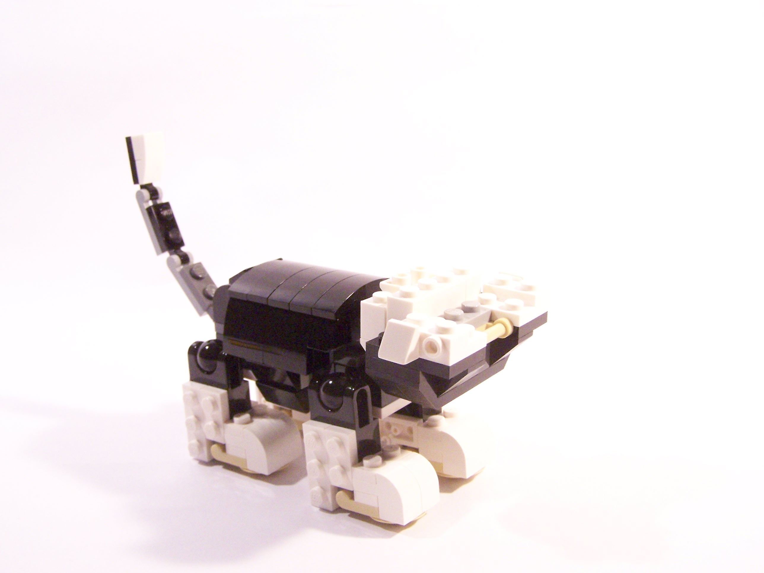 100_6059.jpg