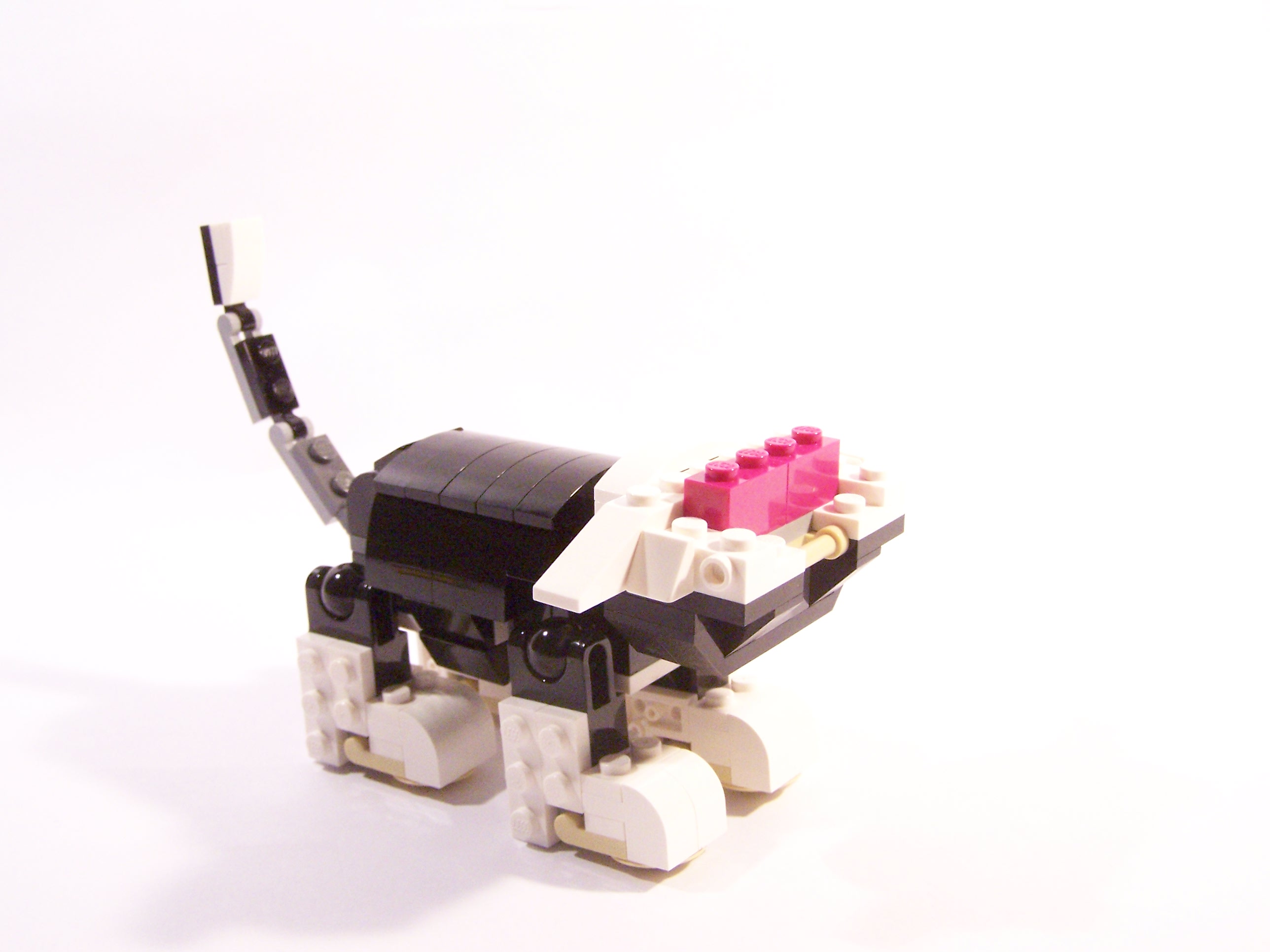 100_6060.jpg