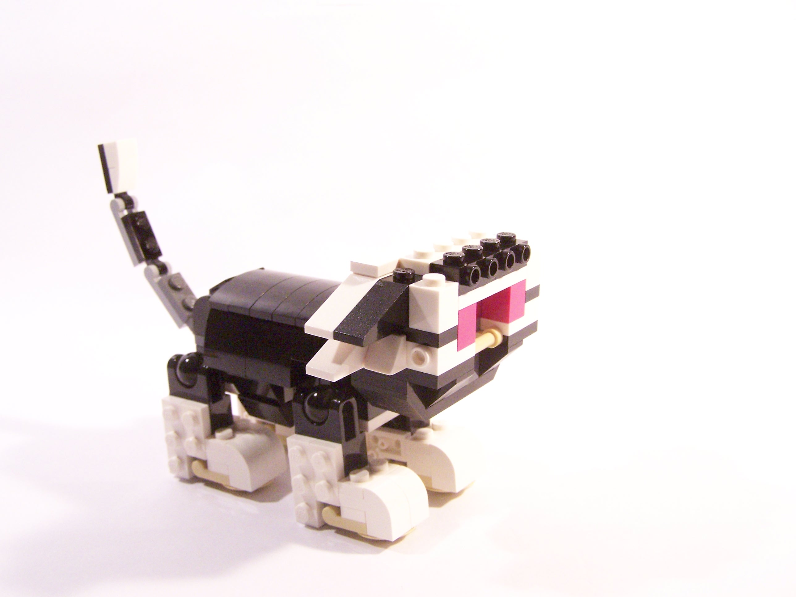 100_6064.jpg