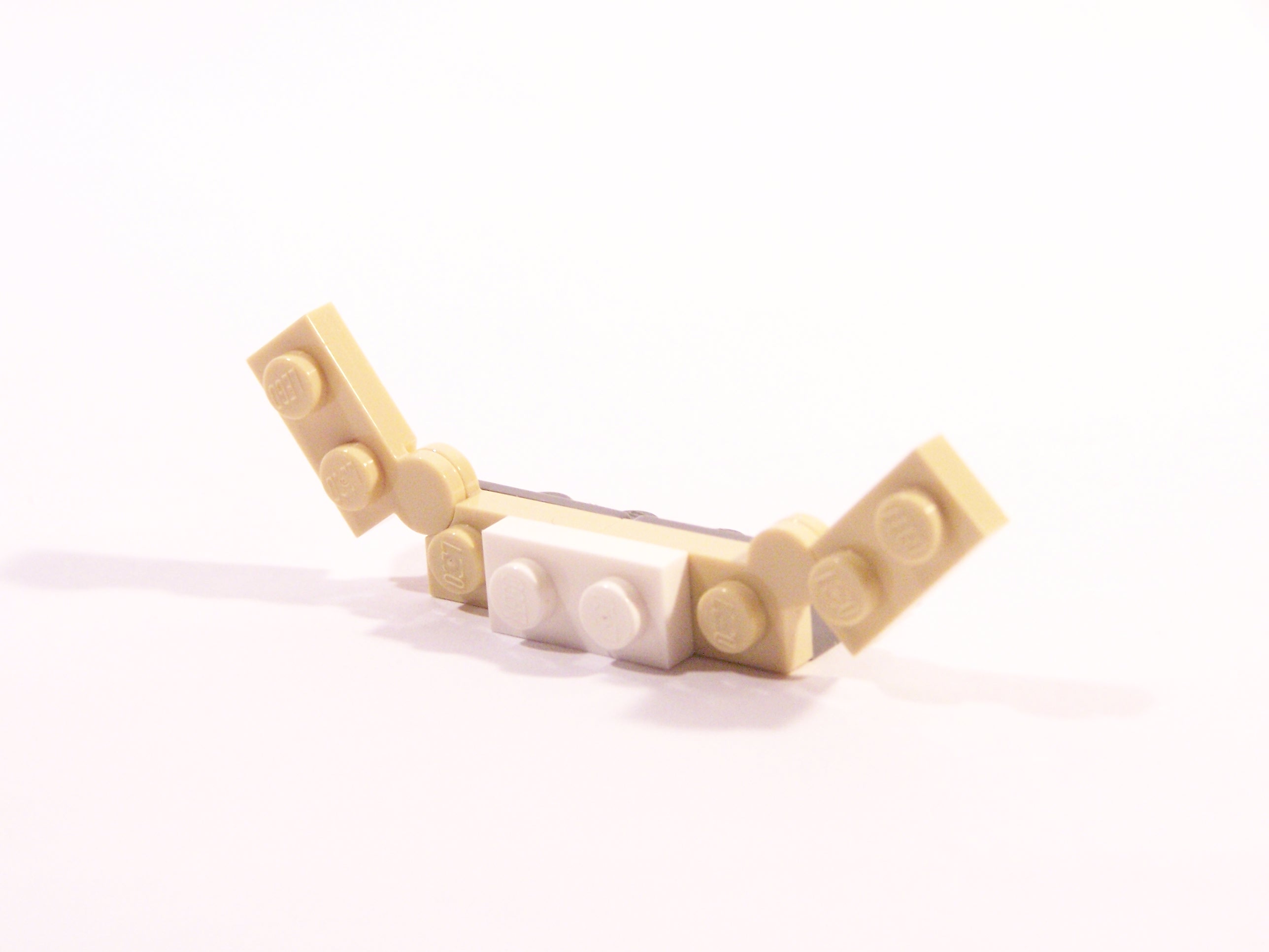 100_6066.jpg