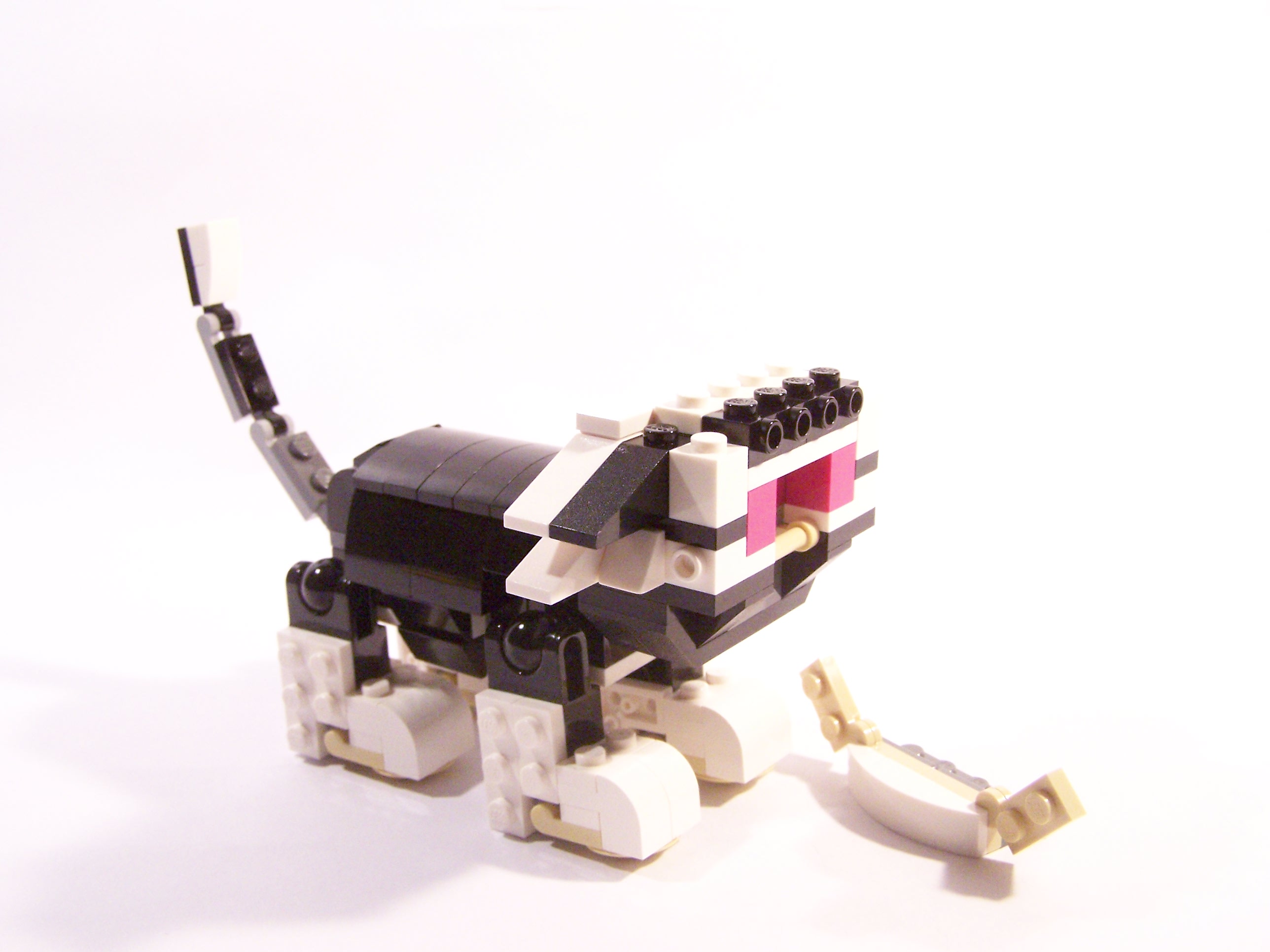 100_6068.jpg