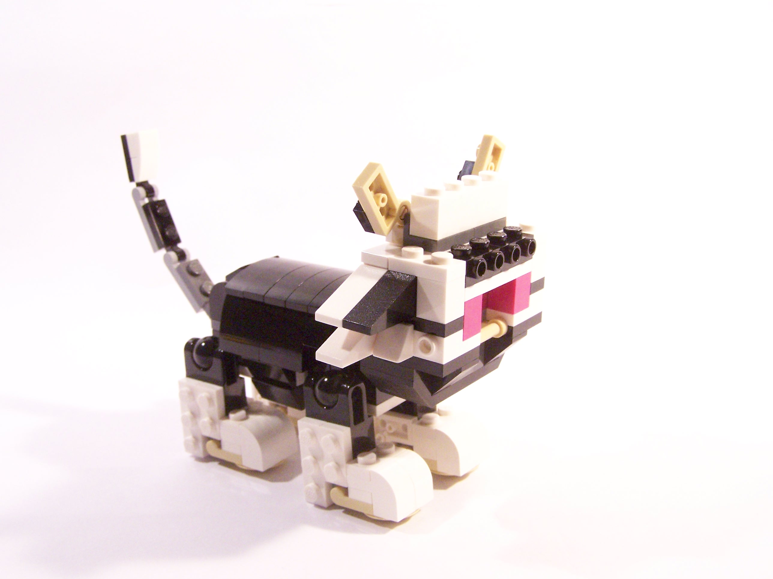 100_6070.jpg
