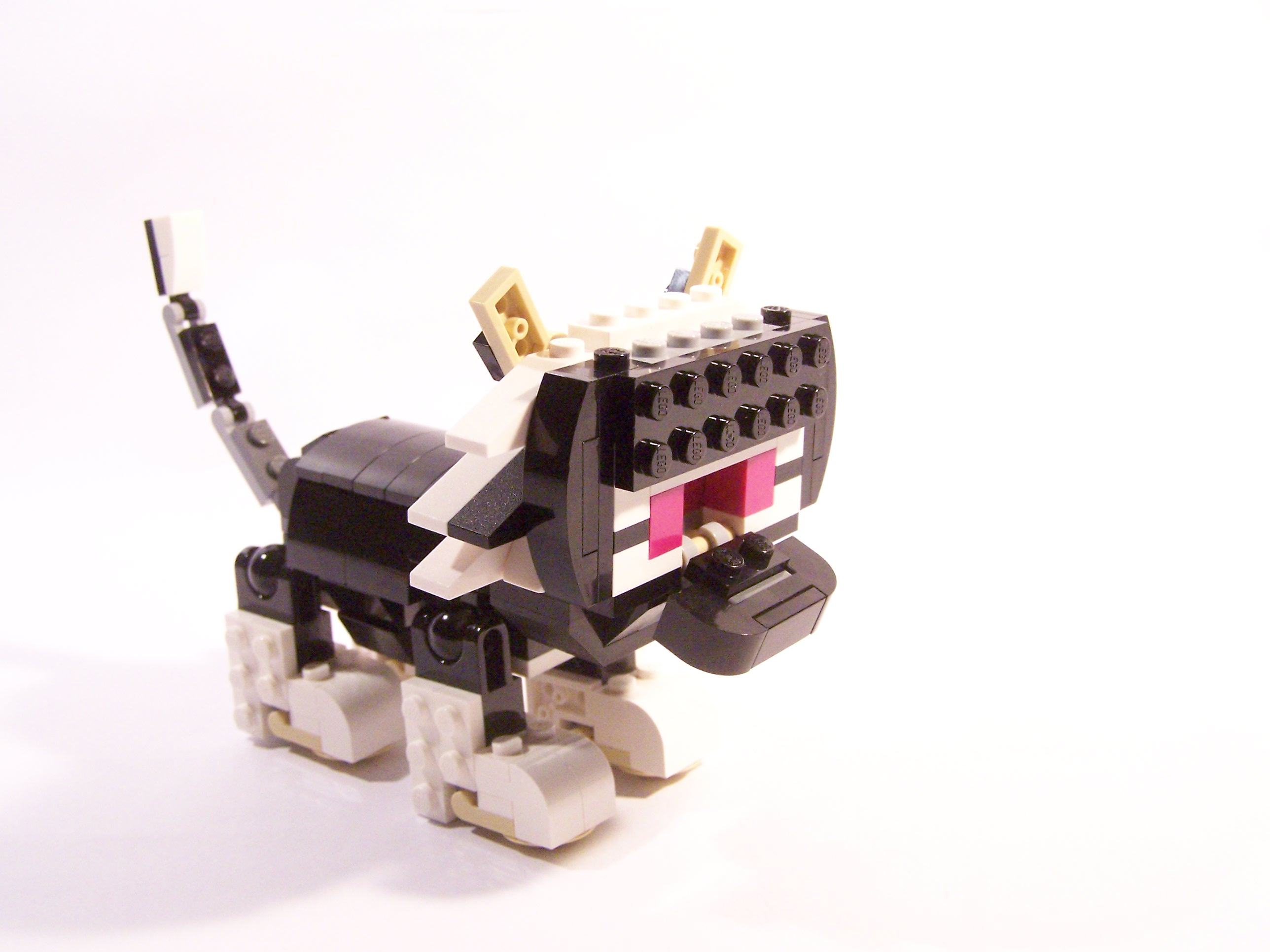 100_6074.jpg
