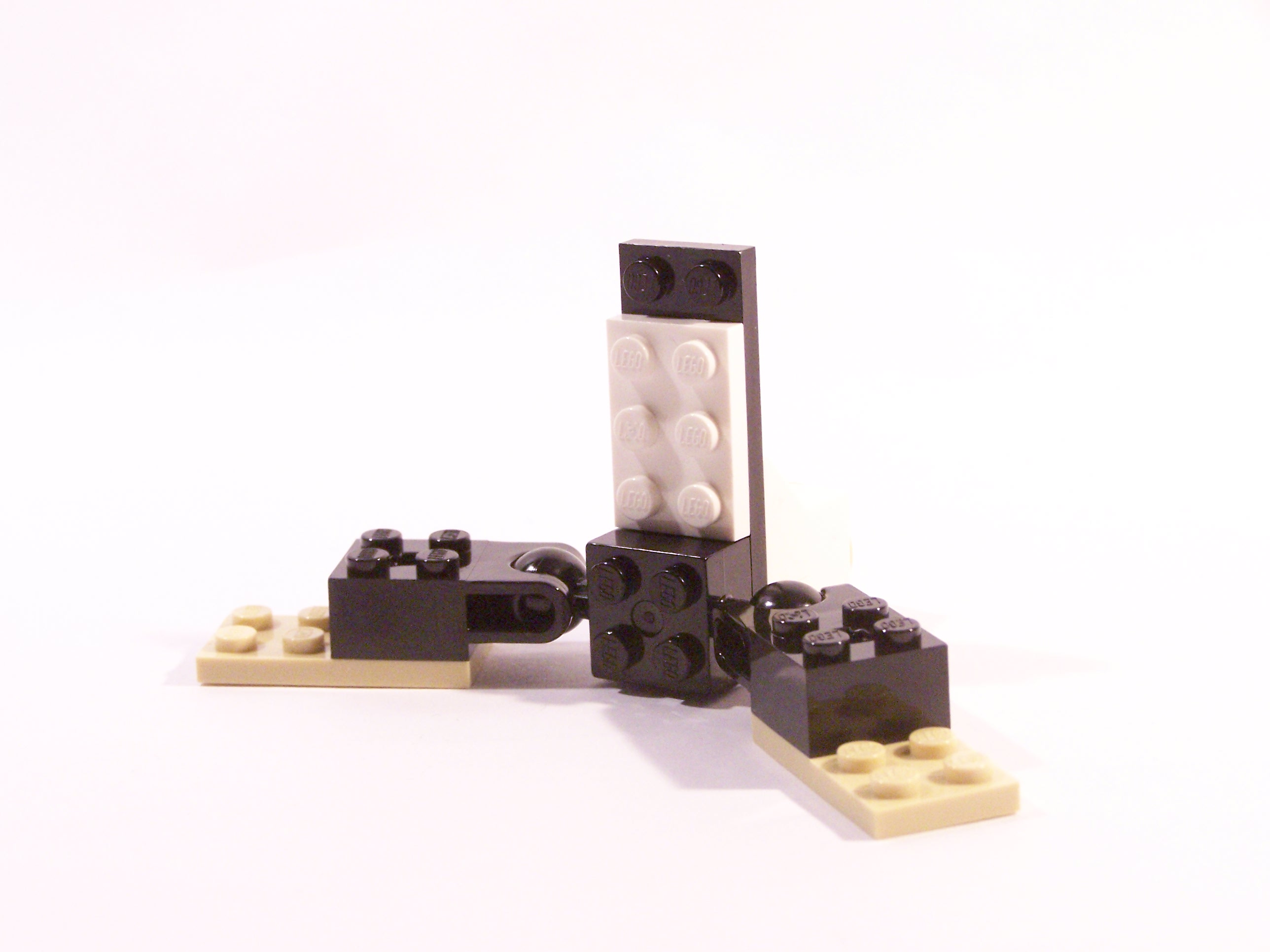 100_6103.jpg