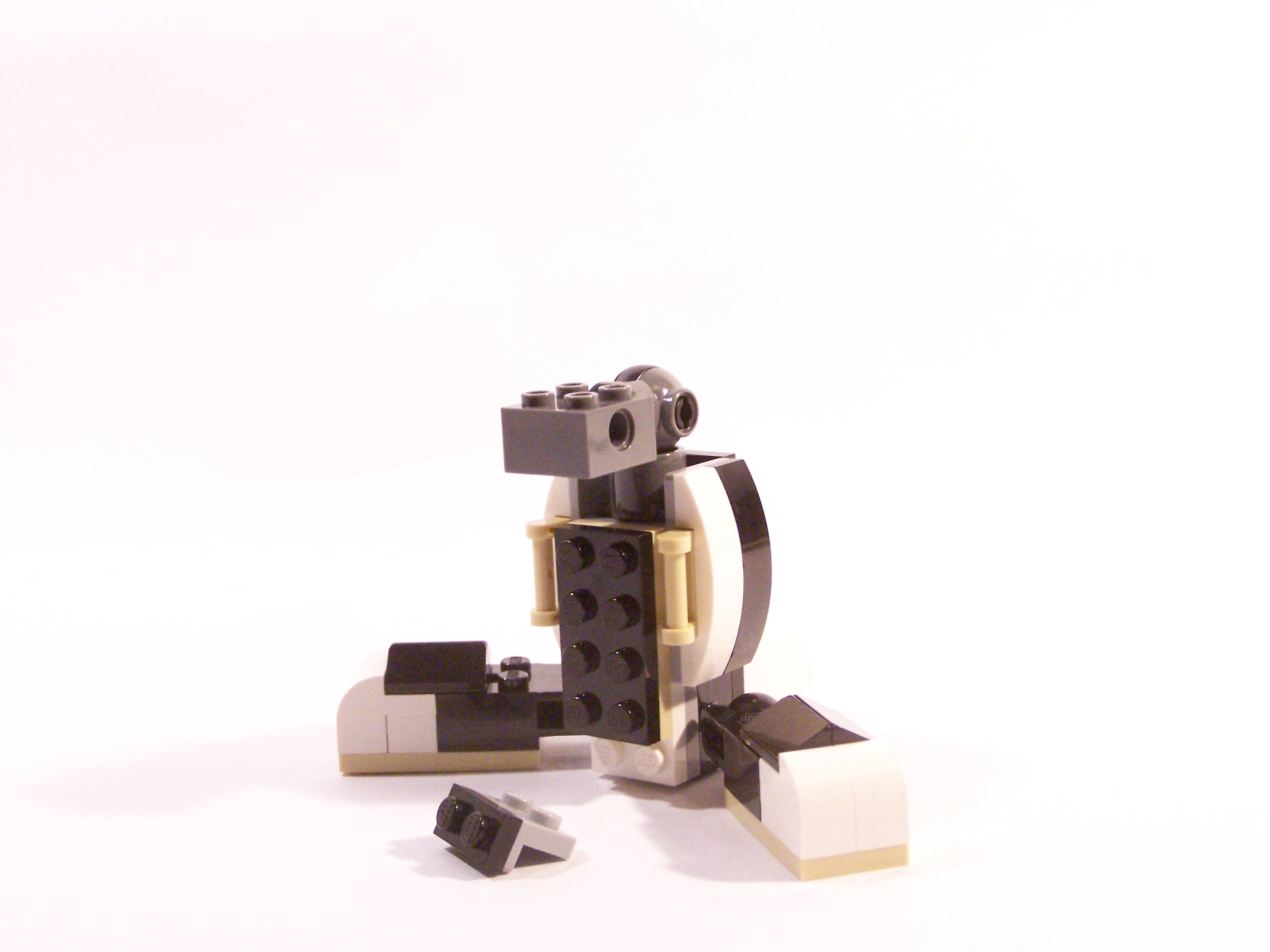100_6113.jpg