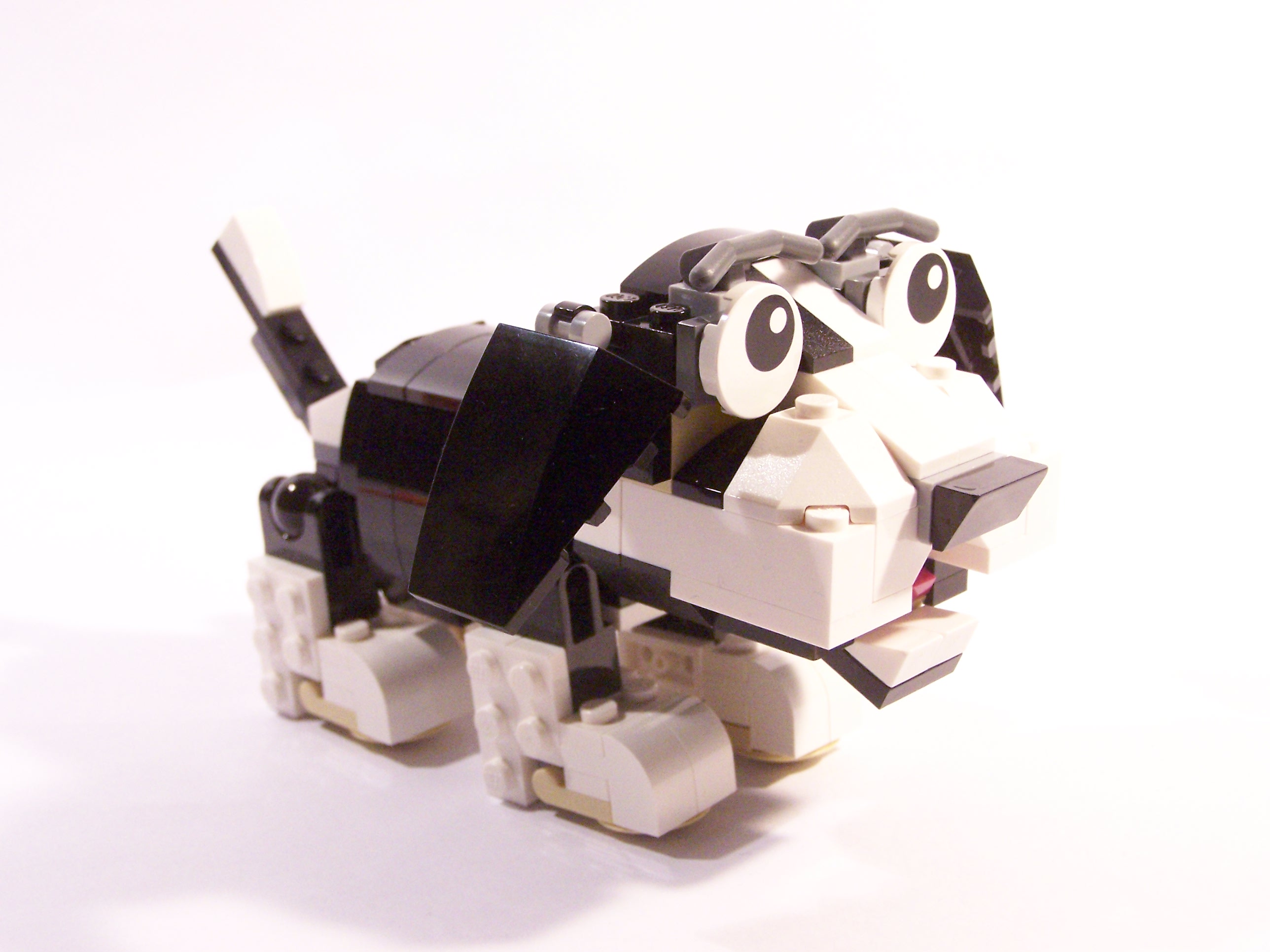 100_6137.jpg