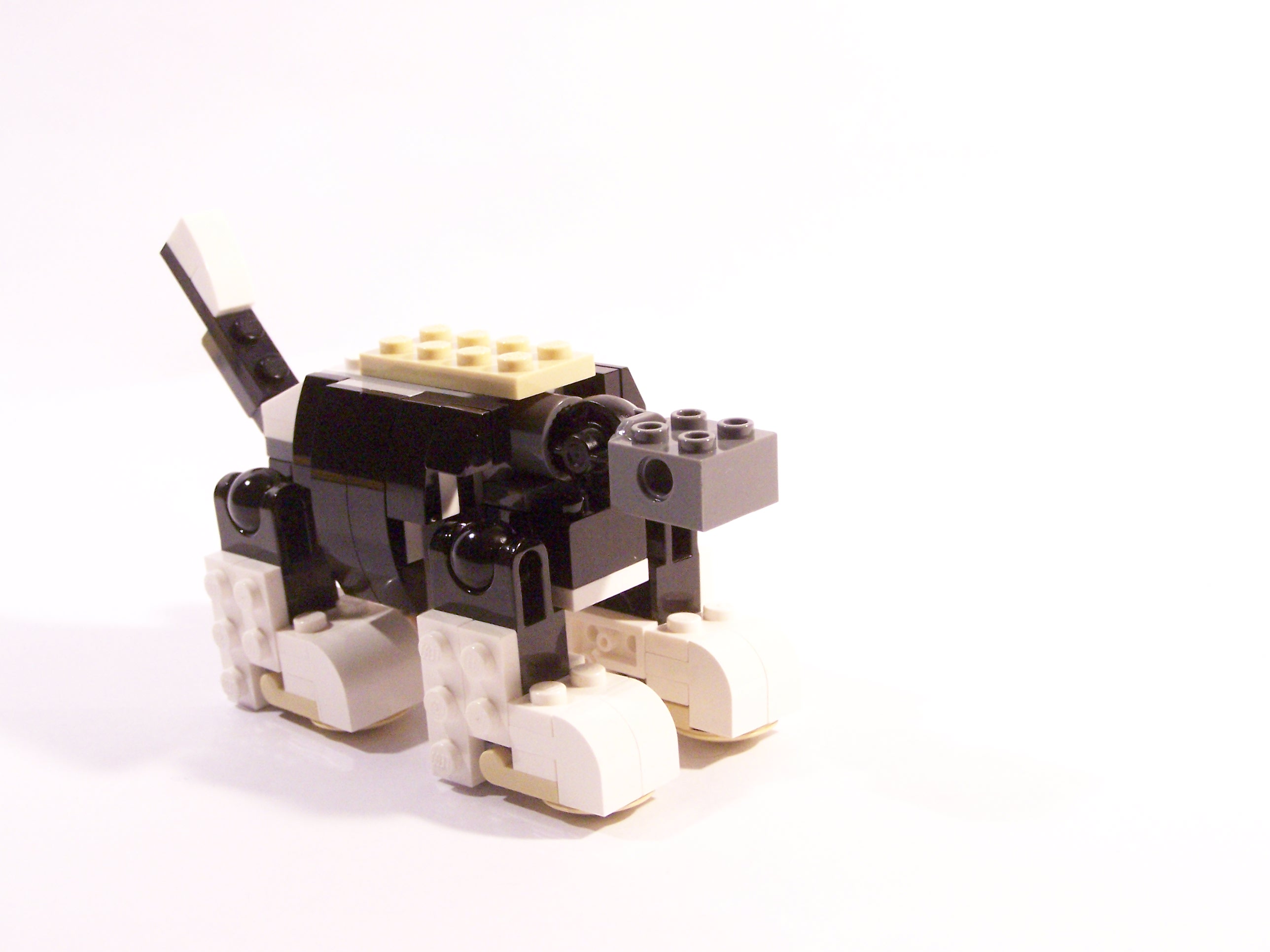 100_6172.jpg