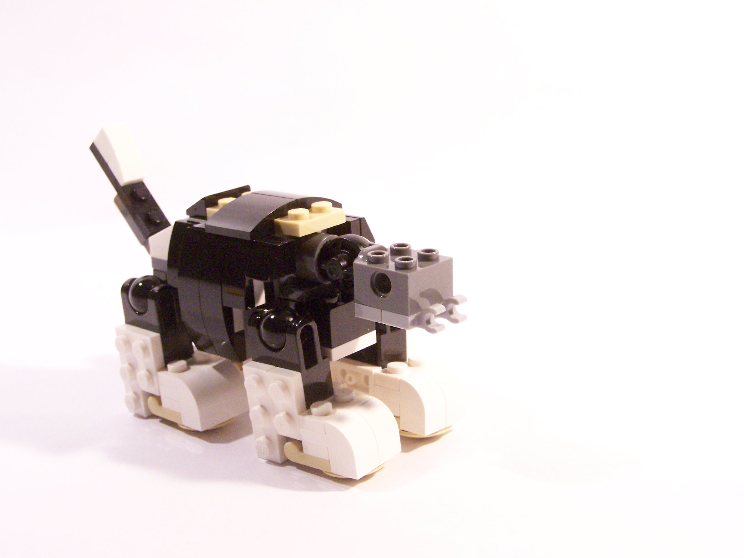 100_6173.jpg