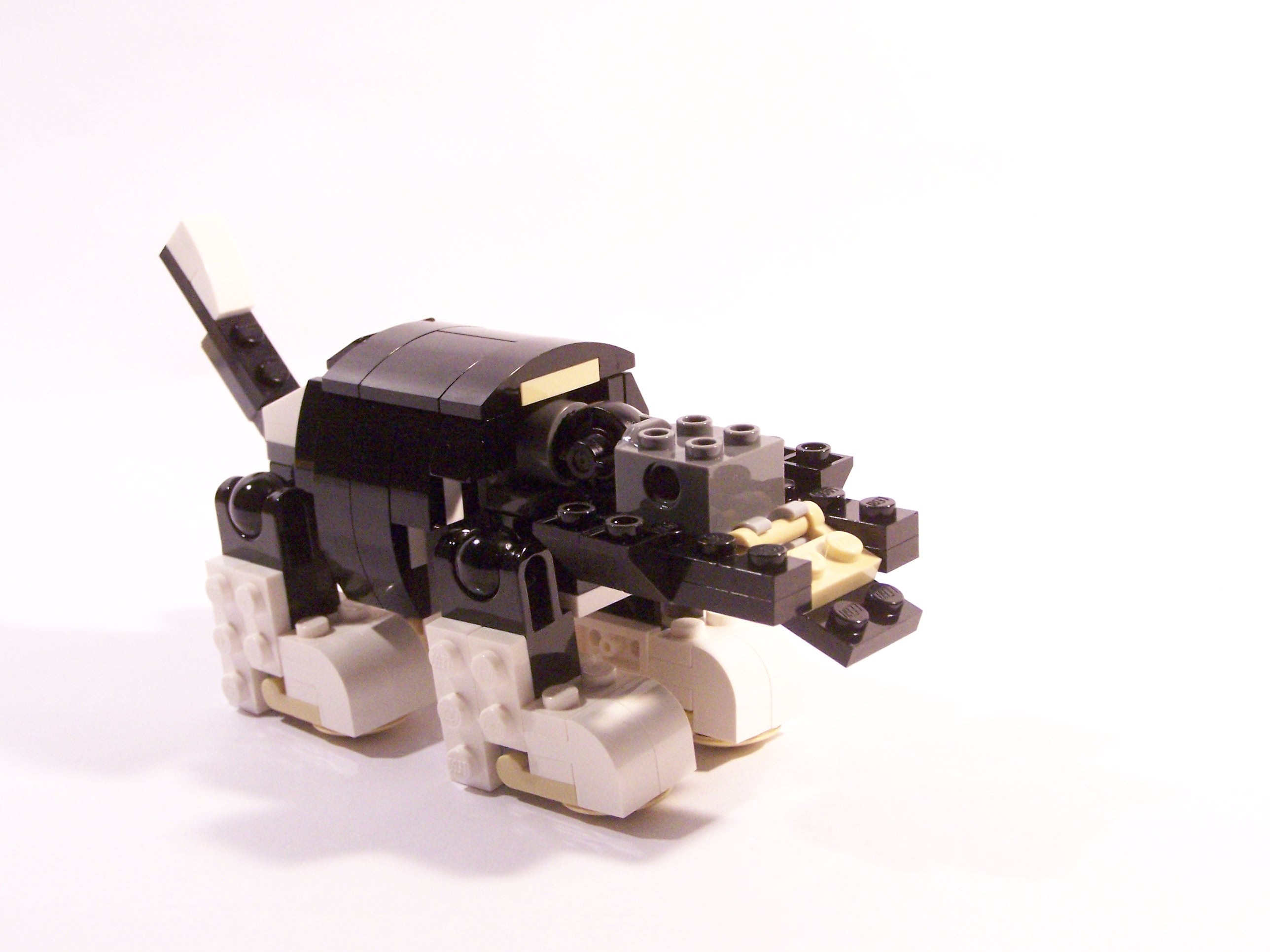 100_6175.jpg