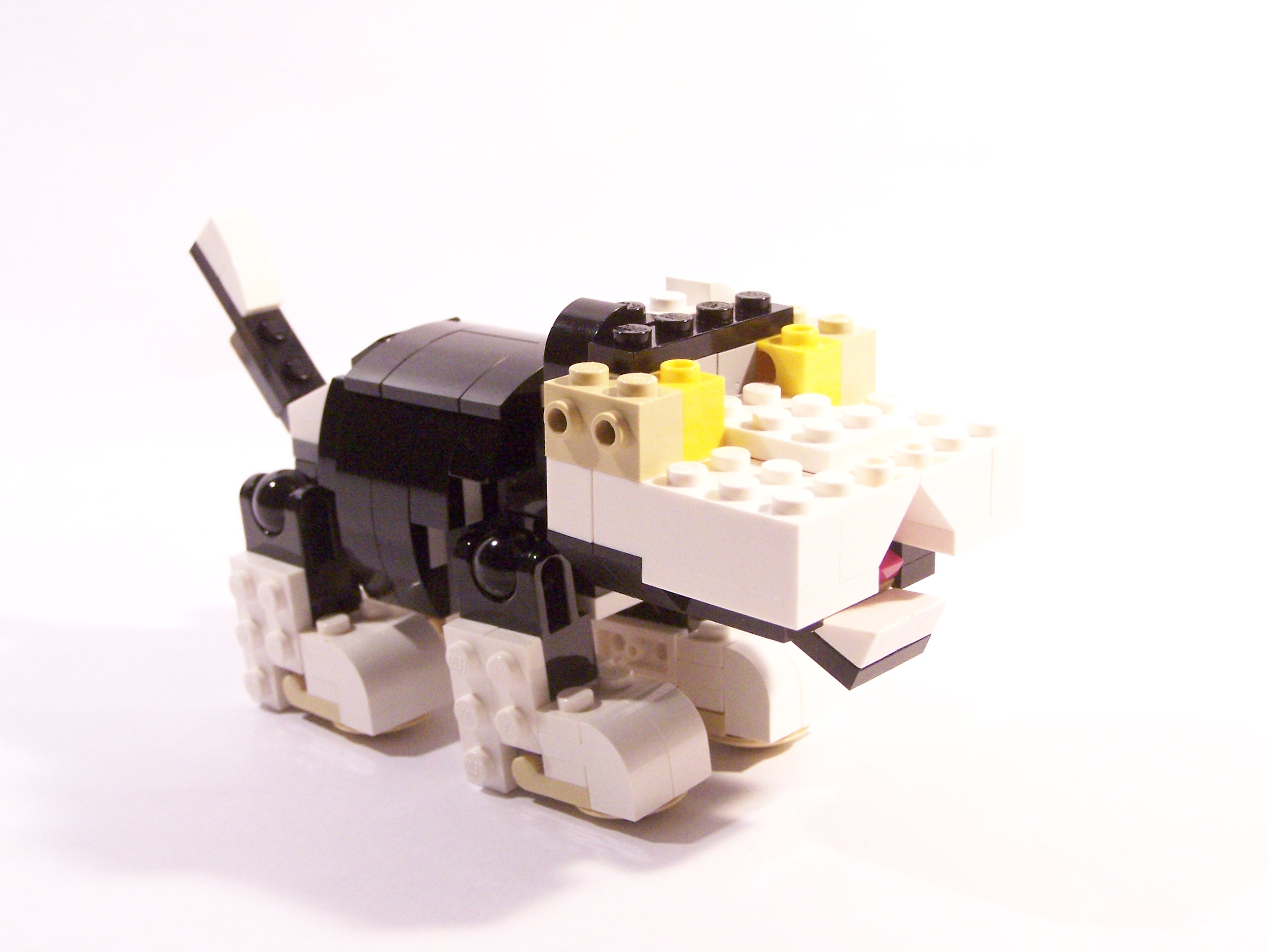 100_6180.jpg