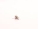 100_6150.jpg