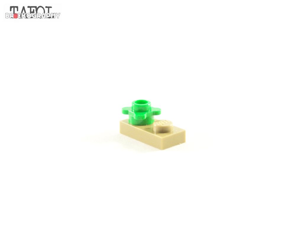 100_6104.jpg