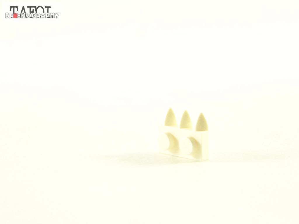 100_9713.jpg