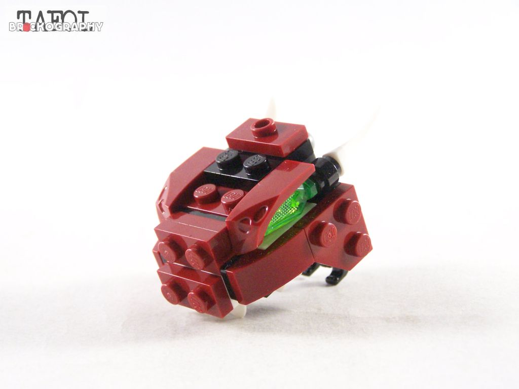 100_3540.jpg