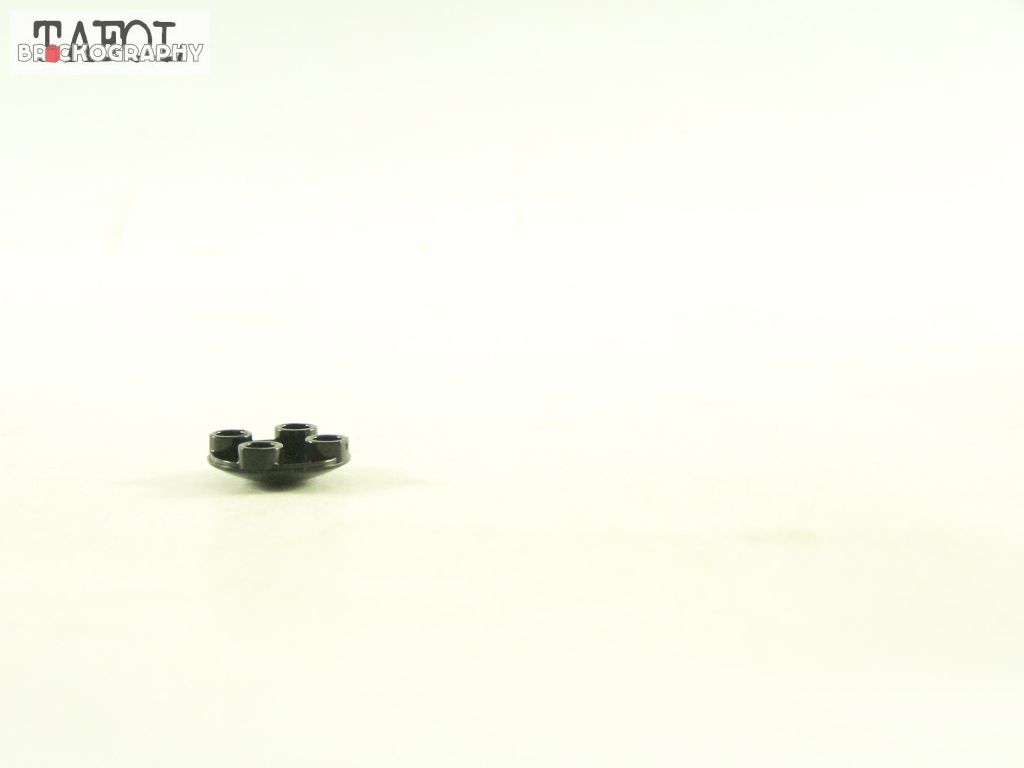 100_3550.jpg