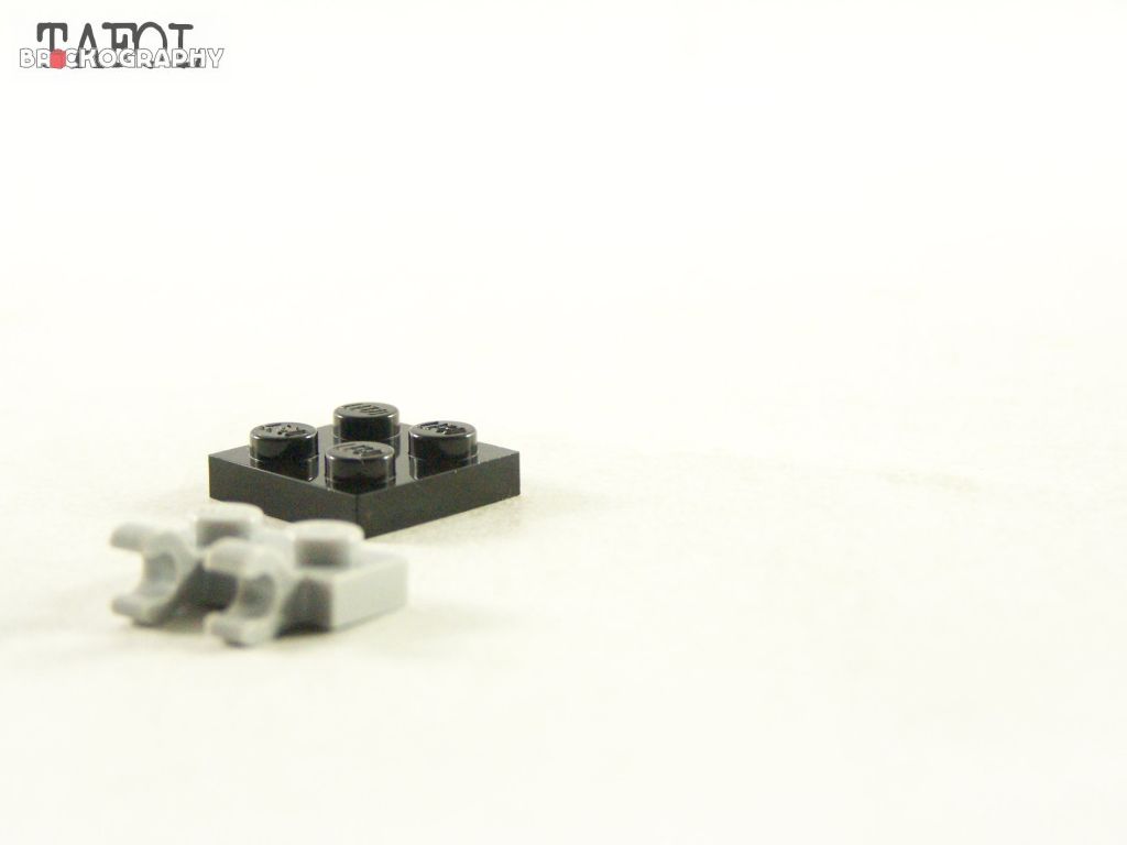 100_3598.jpg